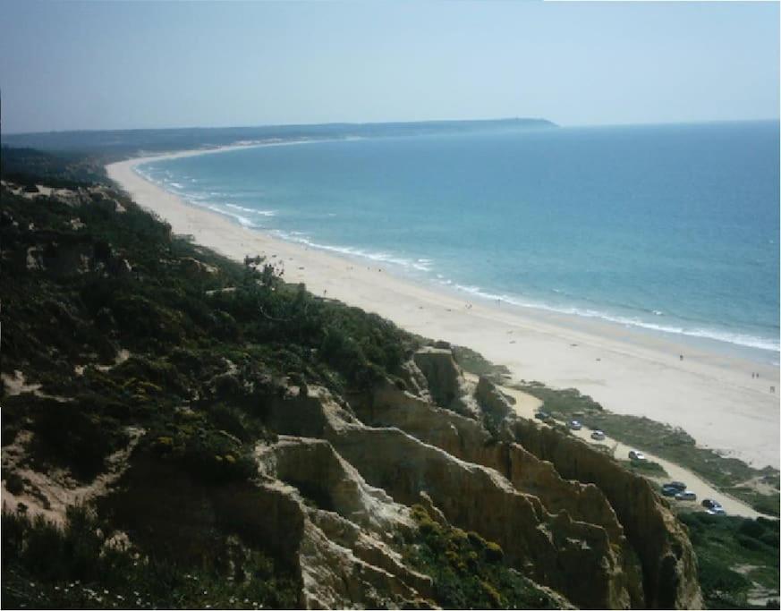 Photo 44