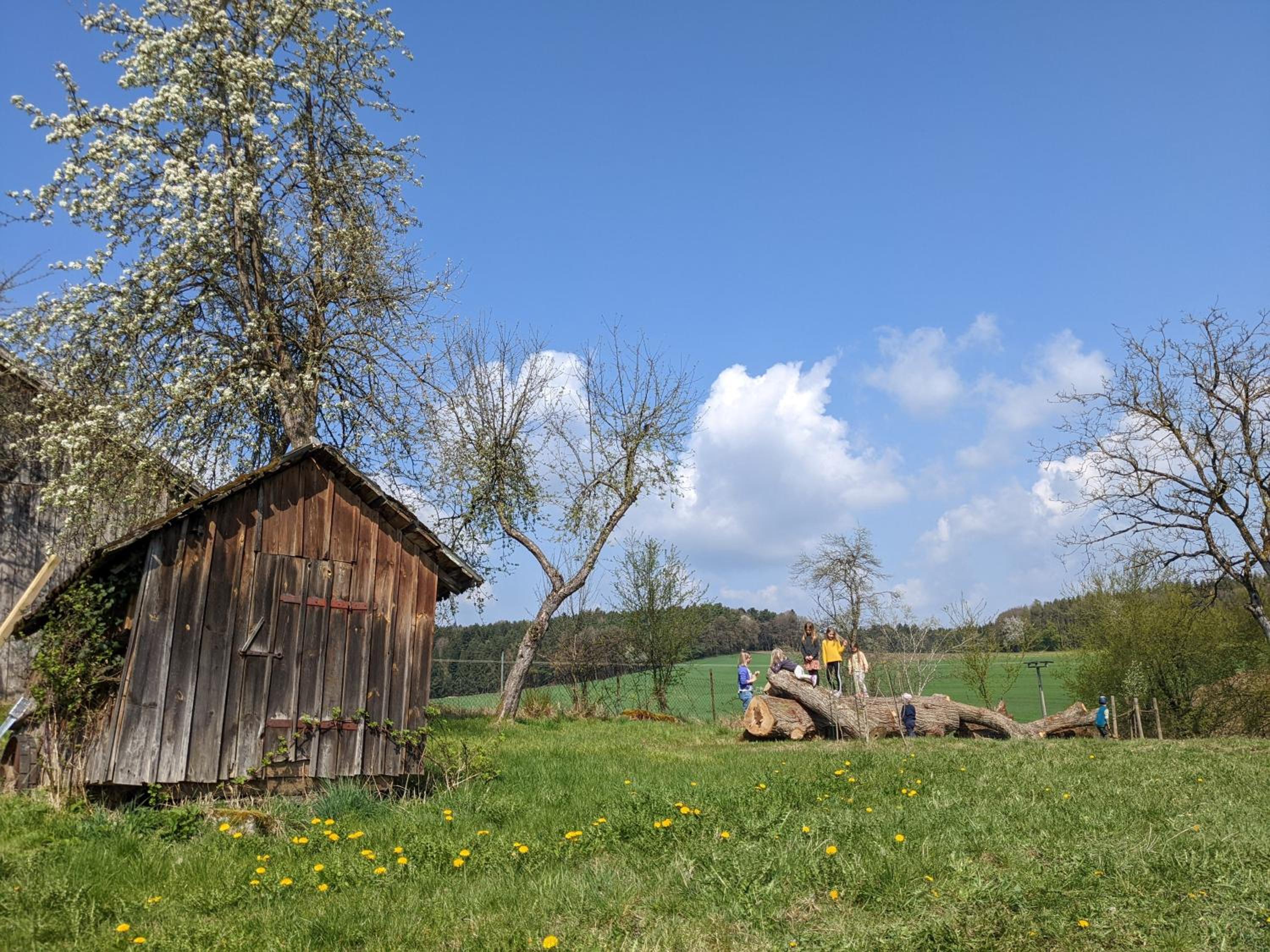 Ferienhaus Ederhof - Idyllischer Vierseithof, kinder- und hundefreundlich, Referenzen auf FeWo-direkt nachlesbar