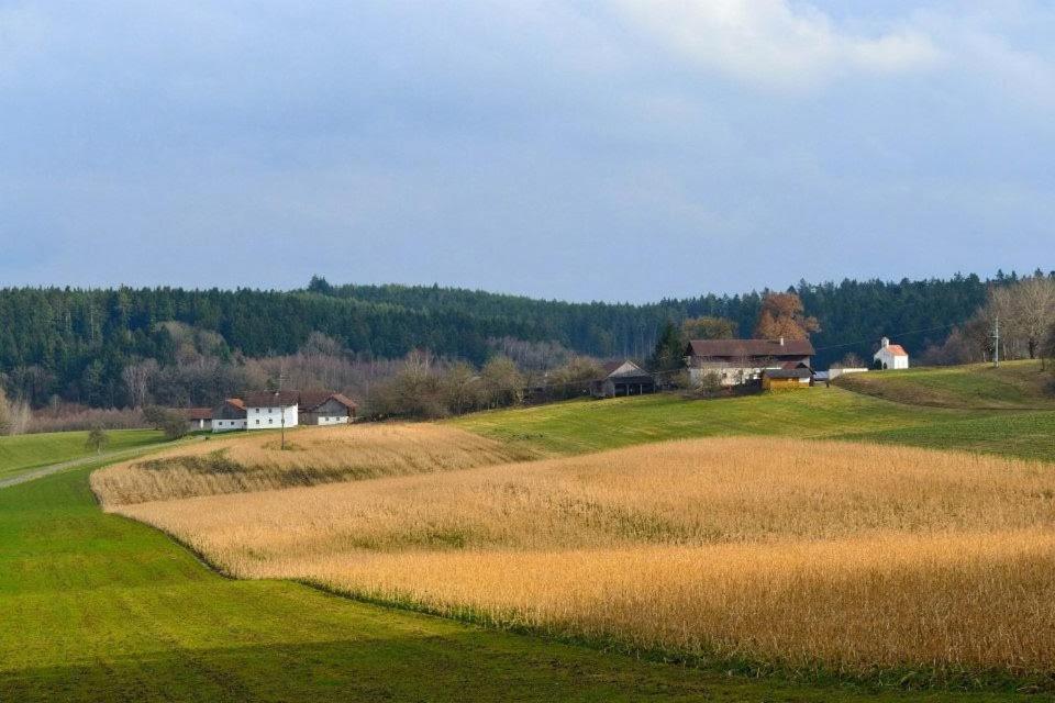 Ferienhaus Ederhof - Idyllischer Vierseithof, kinder- und hundefreundlich, Referenzen auf FeWo-direkt nachlesbar