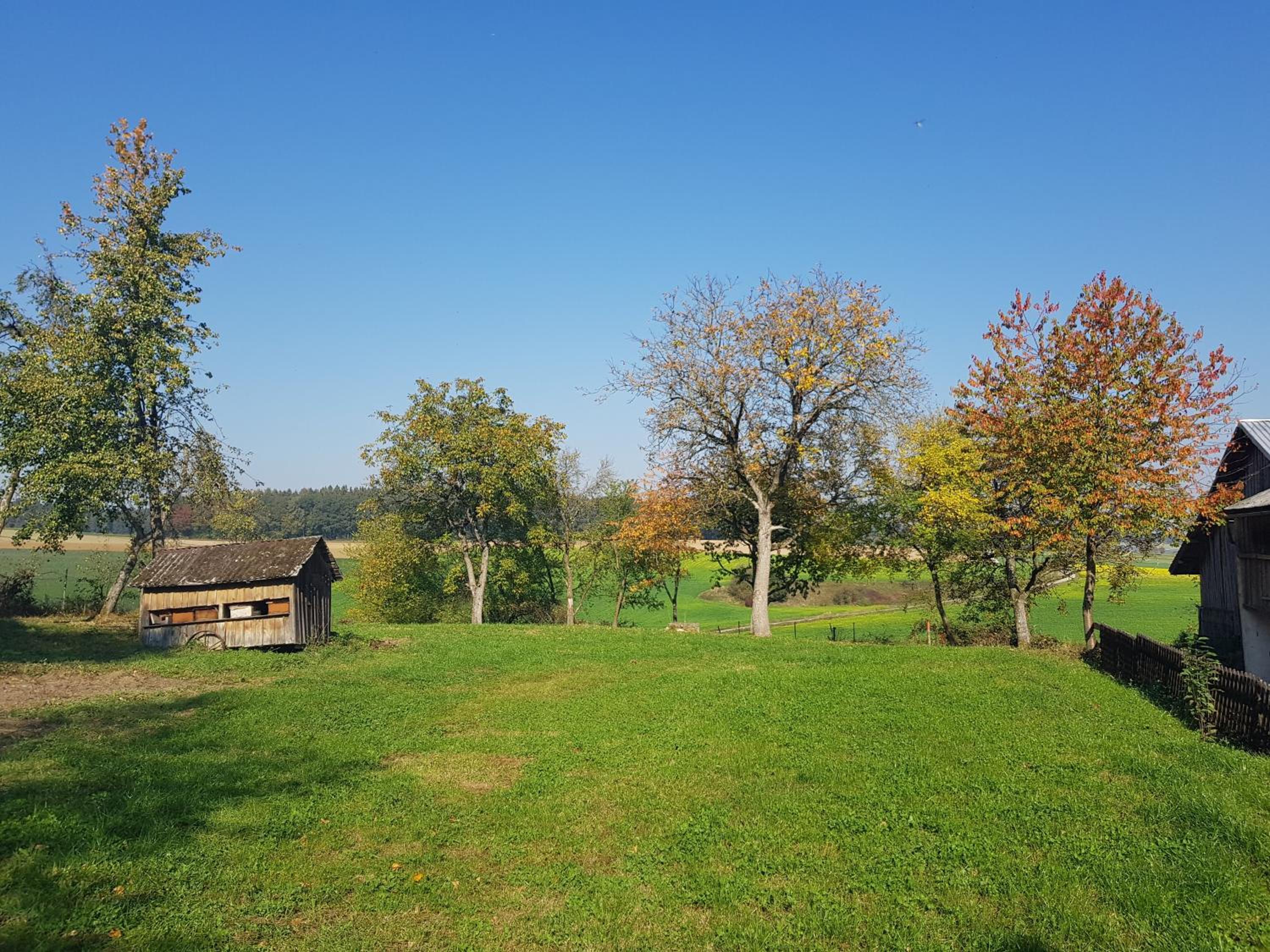 Ferienhaus Ederhof - Idyllischer Vierseithof, kinder- und hundefreundlich, Referenzen auf FeWo-direkt nachlesbar