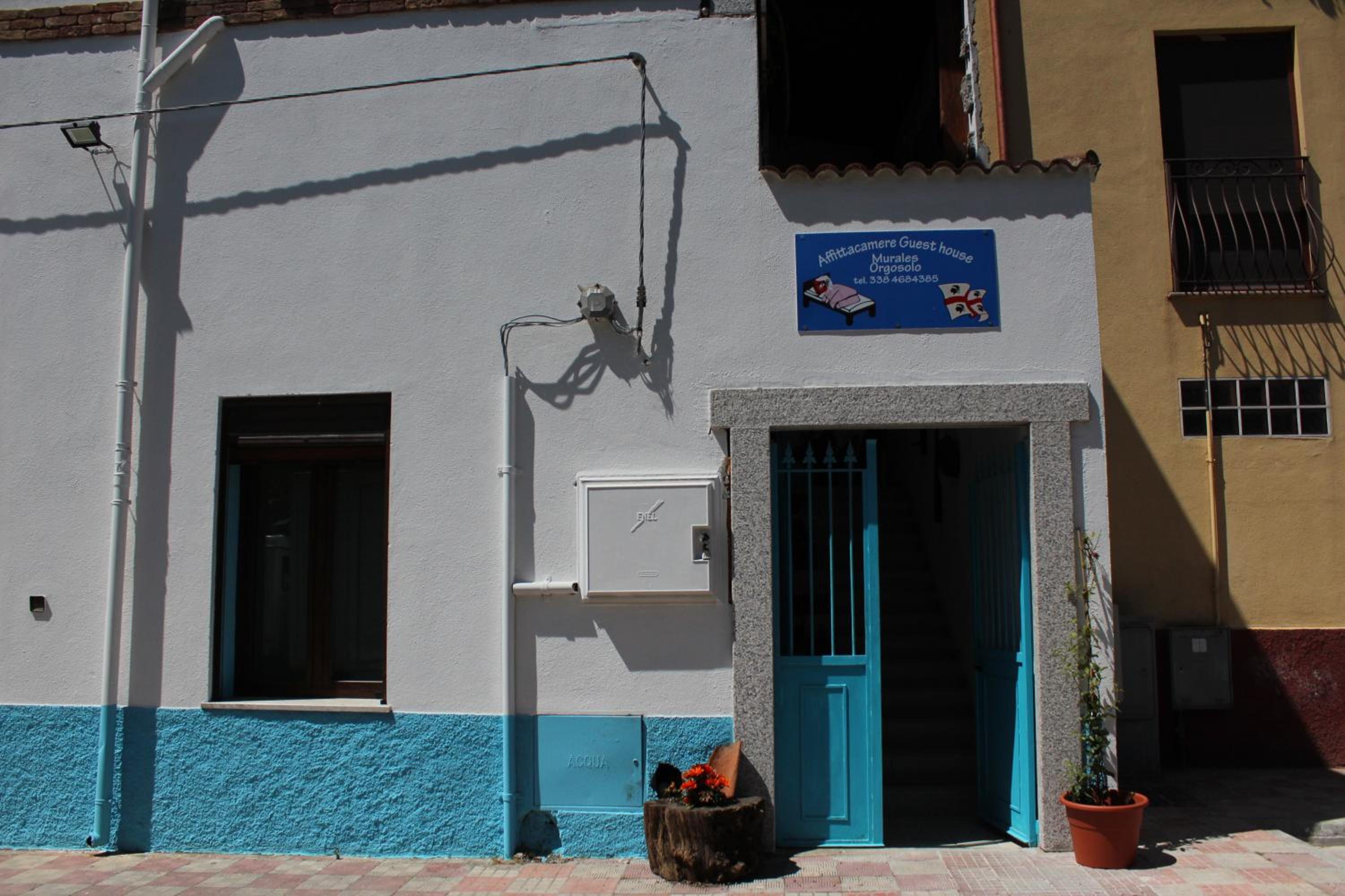 Photo 41