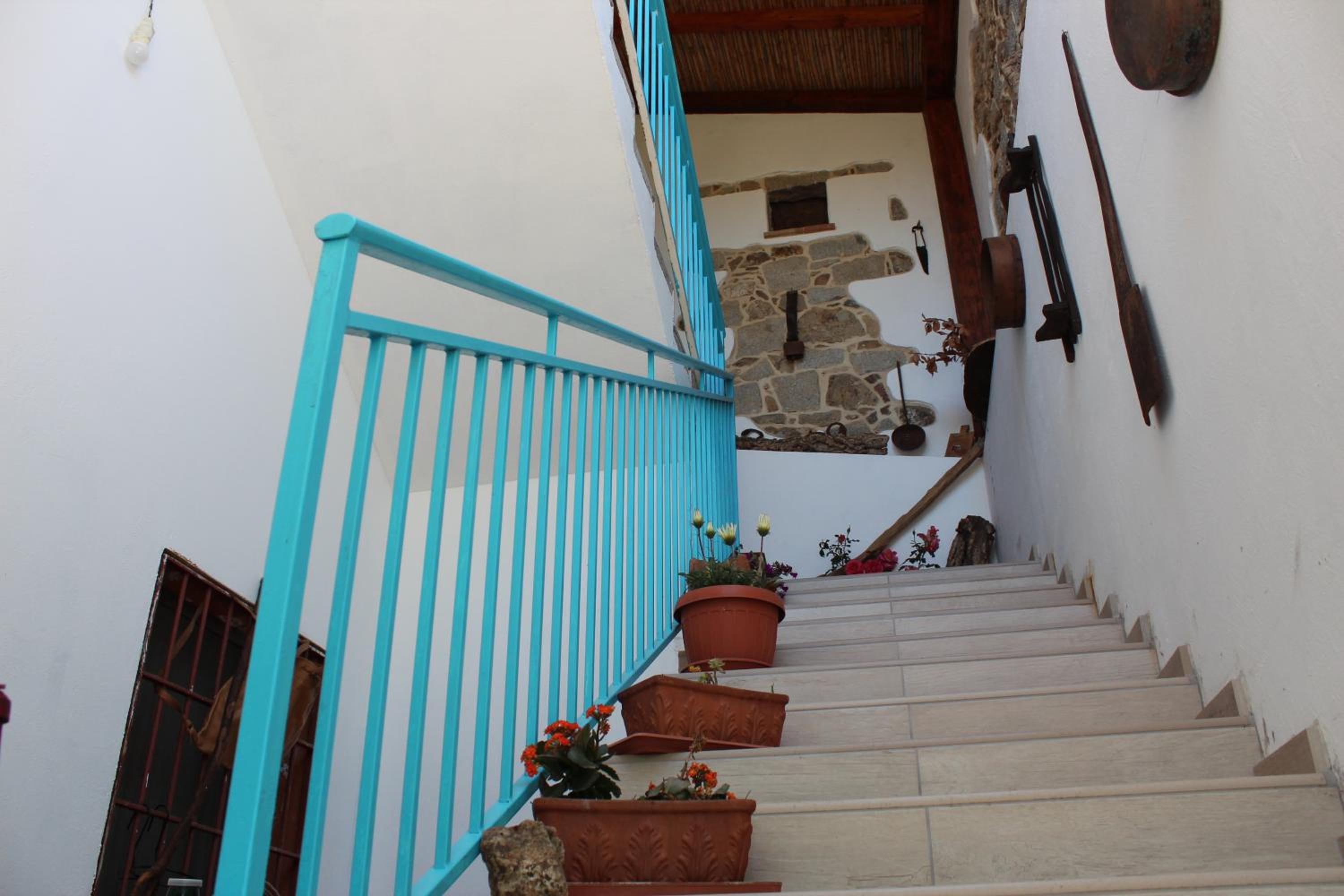 Photo 46