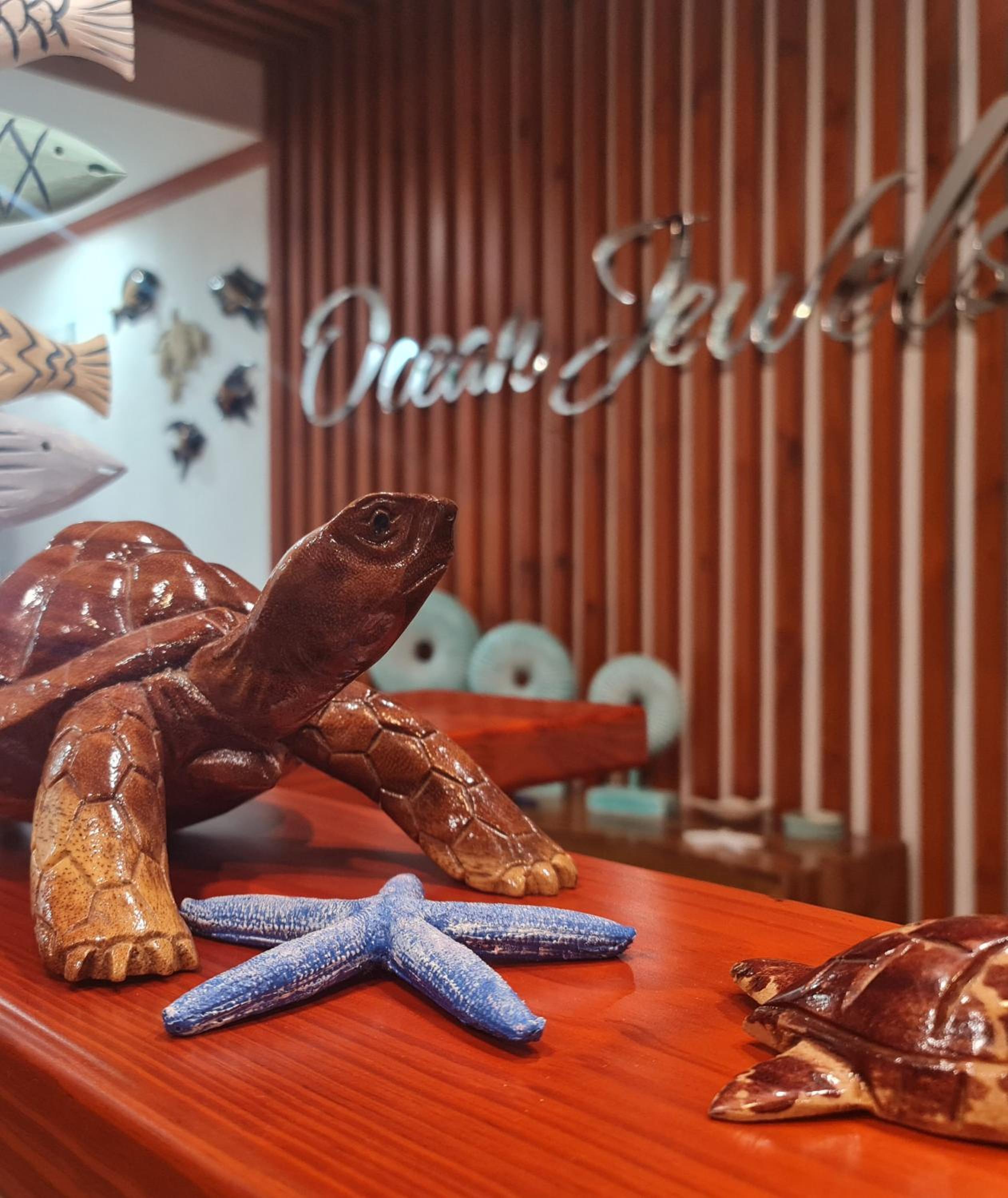 Ocean Jewels photo 3