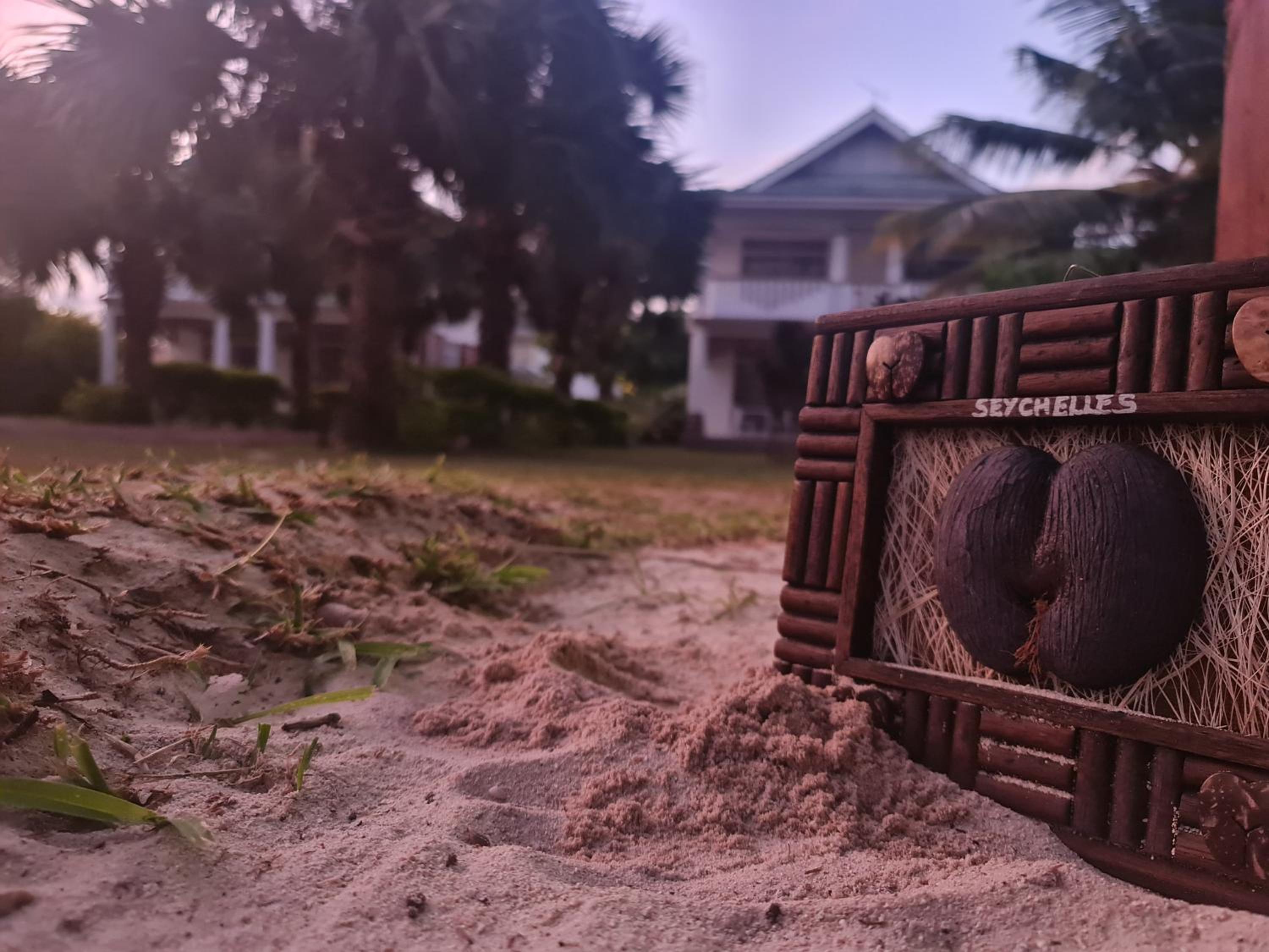 Ocean Jewels photo 5