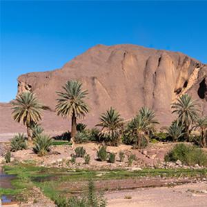 Ouarzazate Vacations - ecolodge bivouac des aigles - Property Image 7