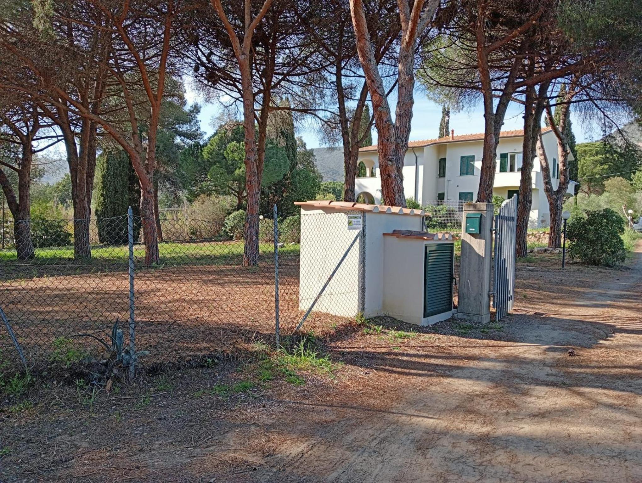 Riccio di Mare view 3