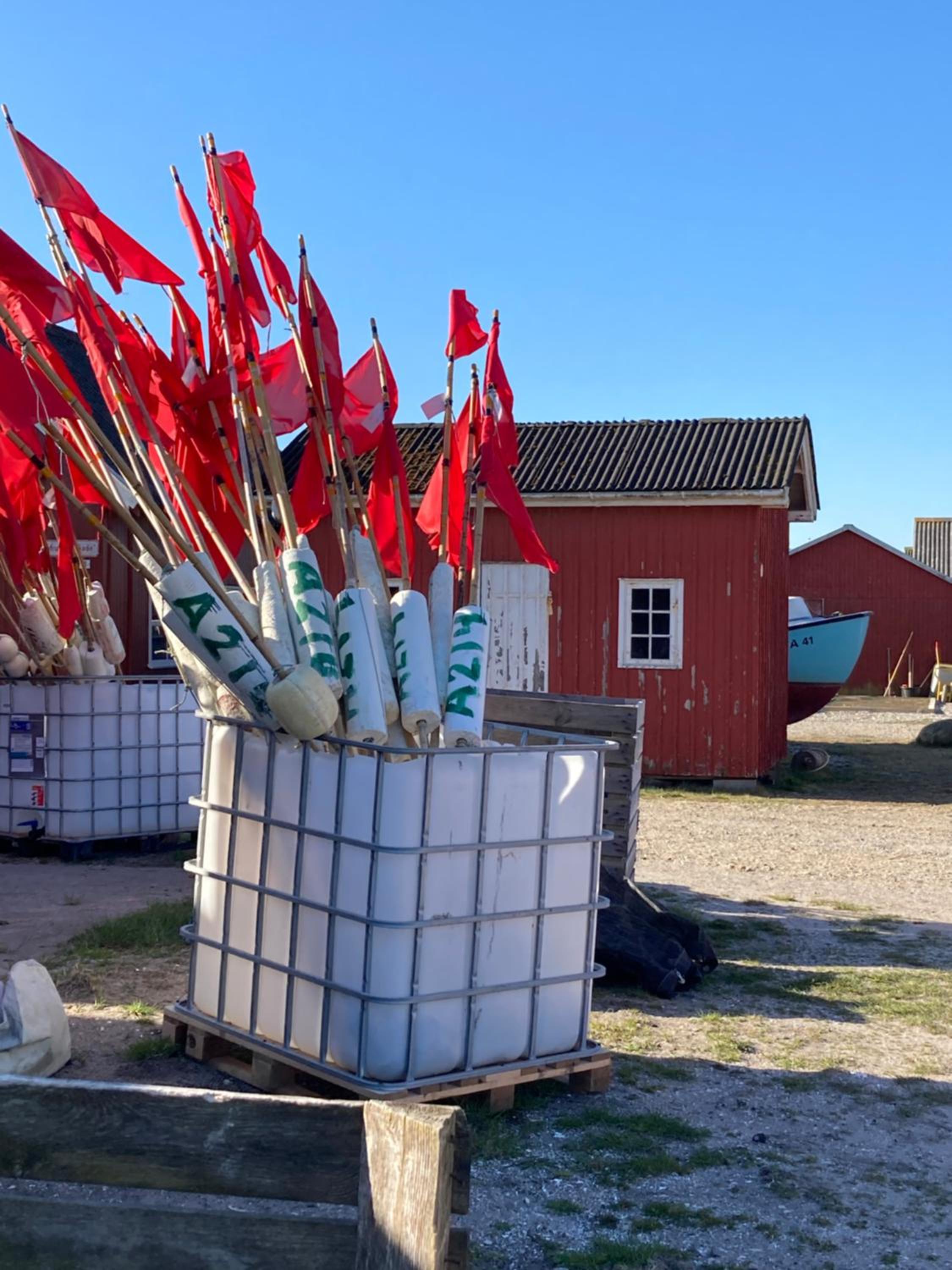 Det blågrønne Hus