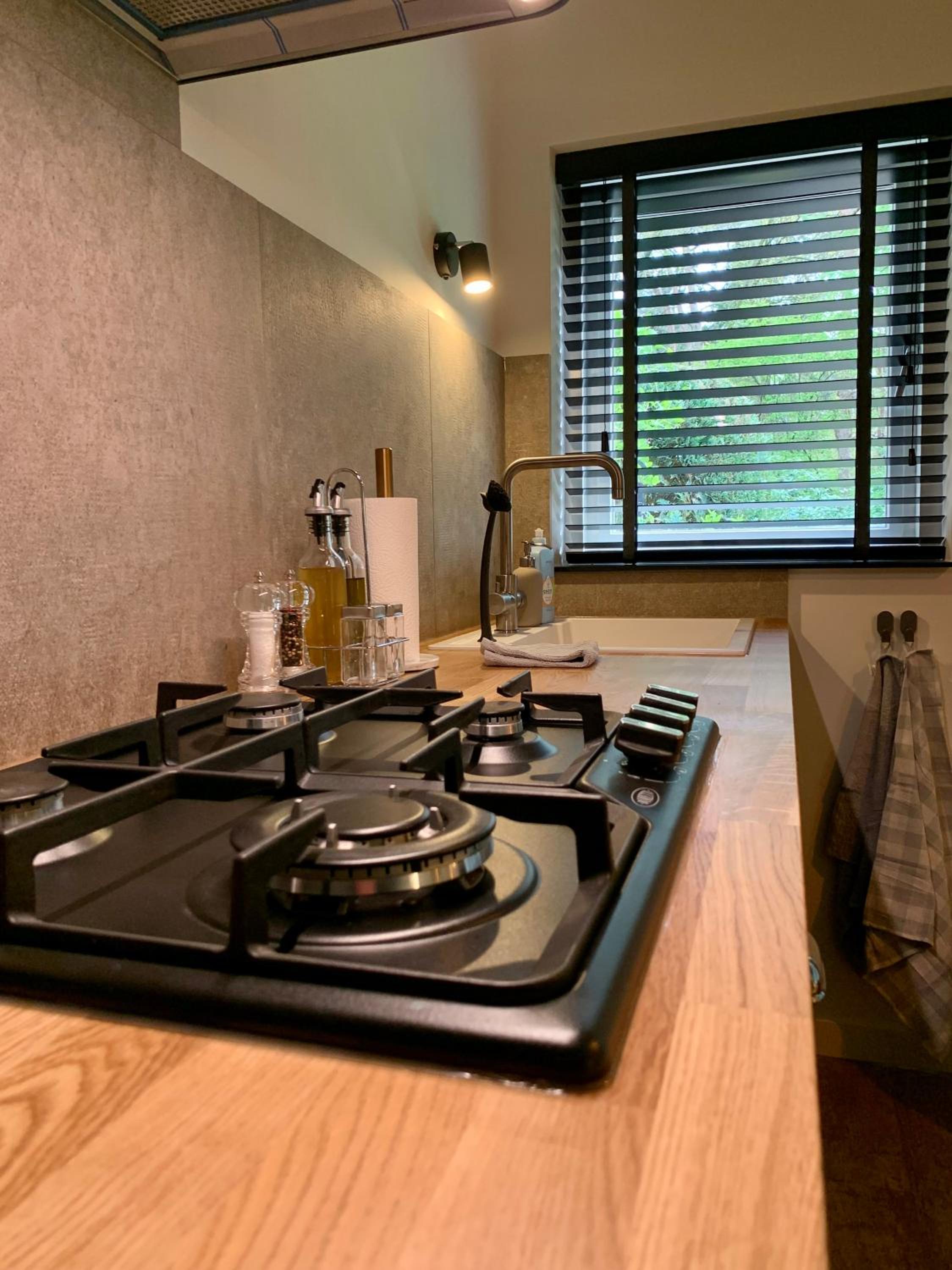Wilde Moeflon, geniet van de vrije natuur! view 5