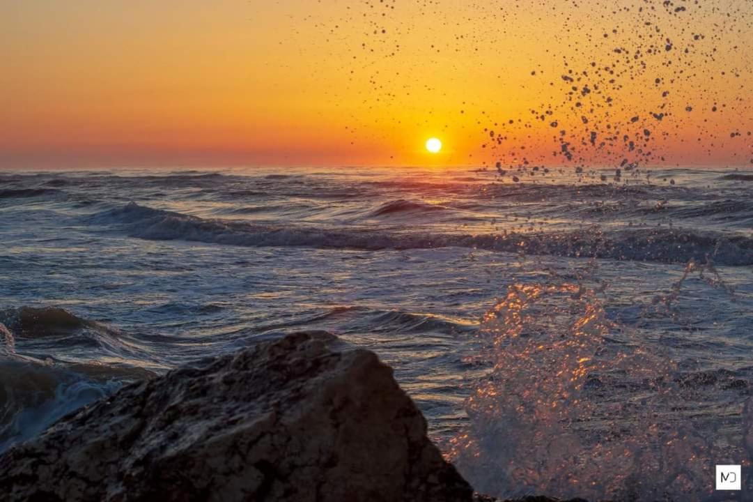 La Olteanu