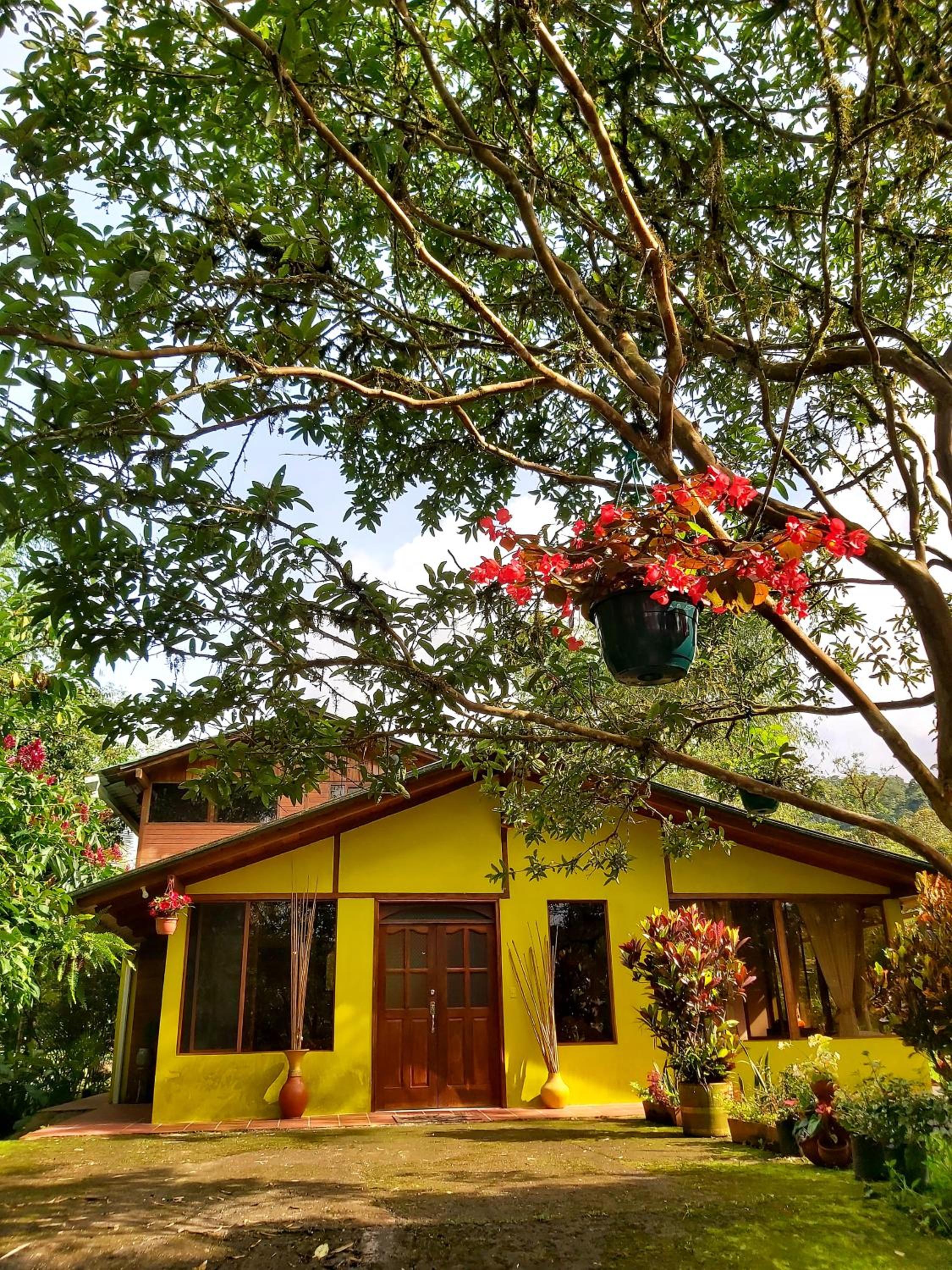 Senz Chalet Riverside - Mindo view 2