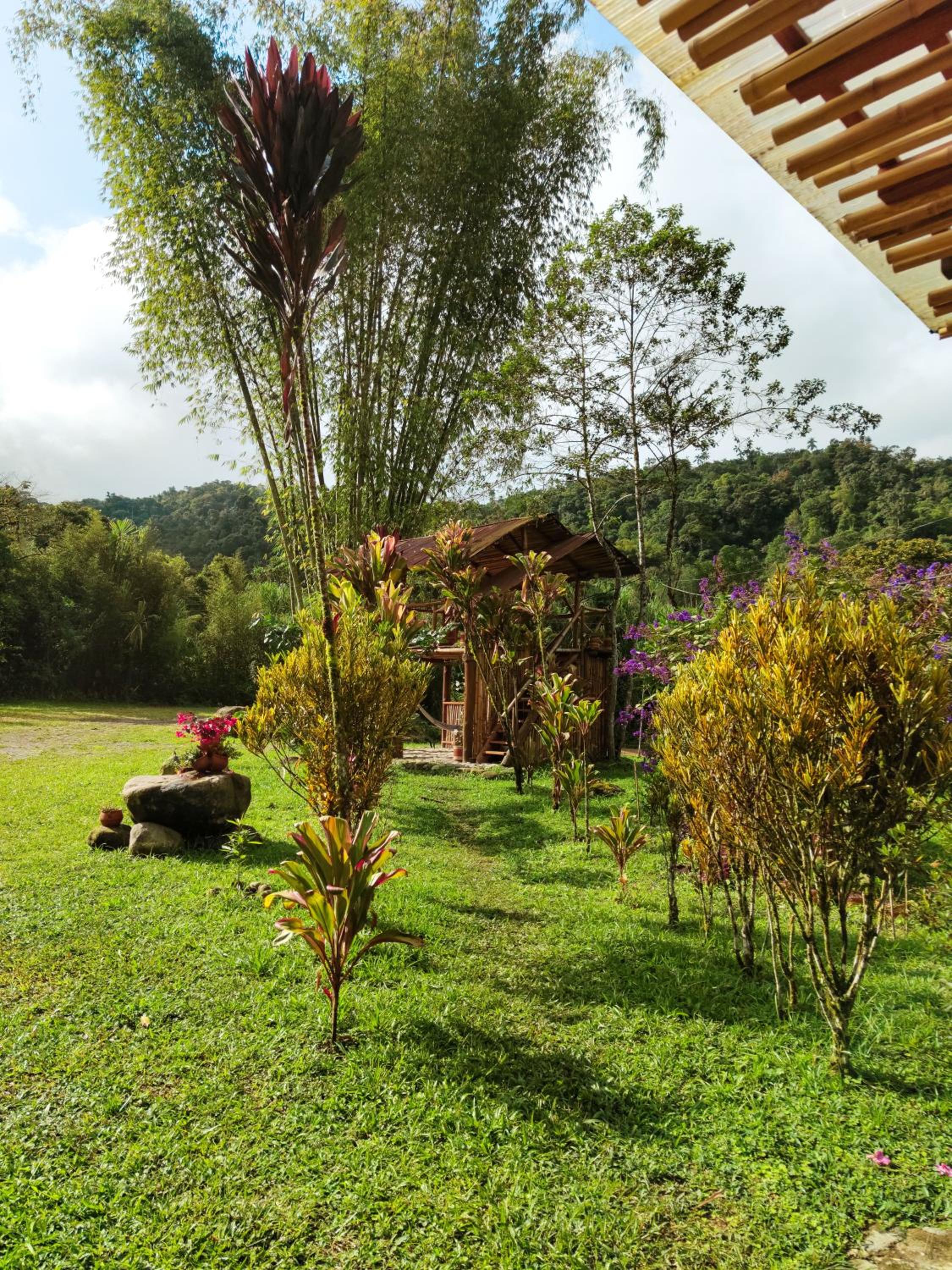 Senz Chalet Riverside - Mindo view 5