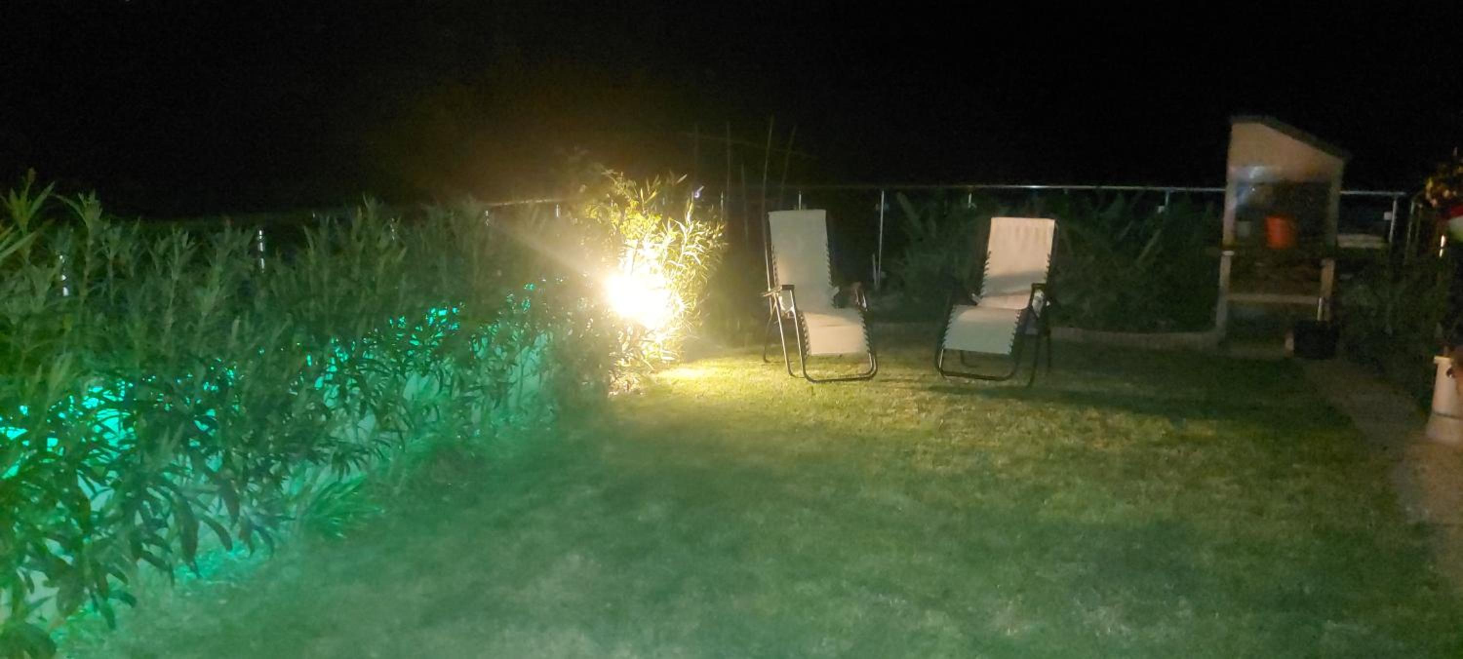 L'angolo di Ari photo 3