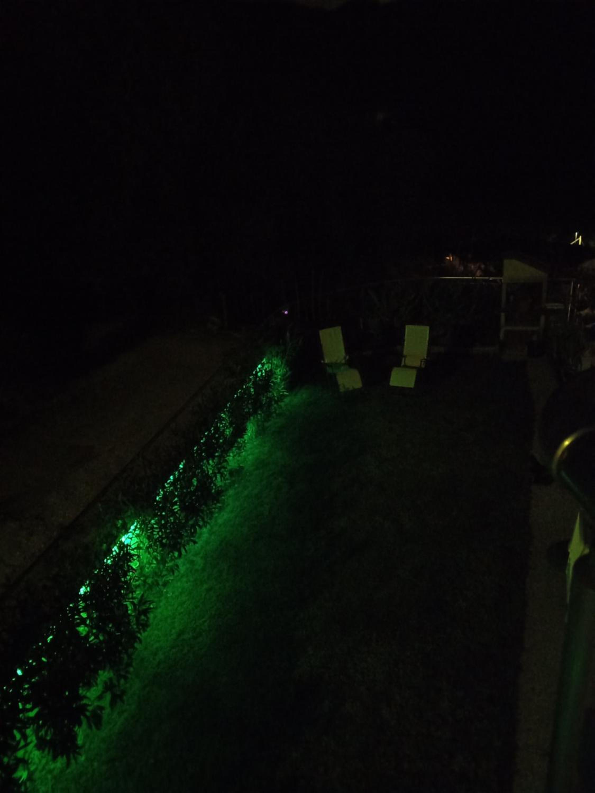 L'angolo di Ari photo 1