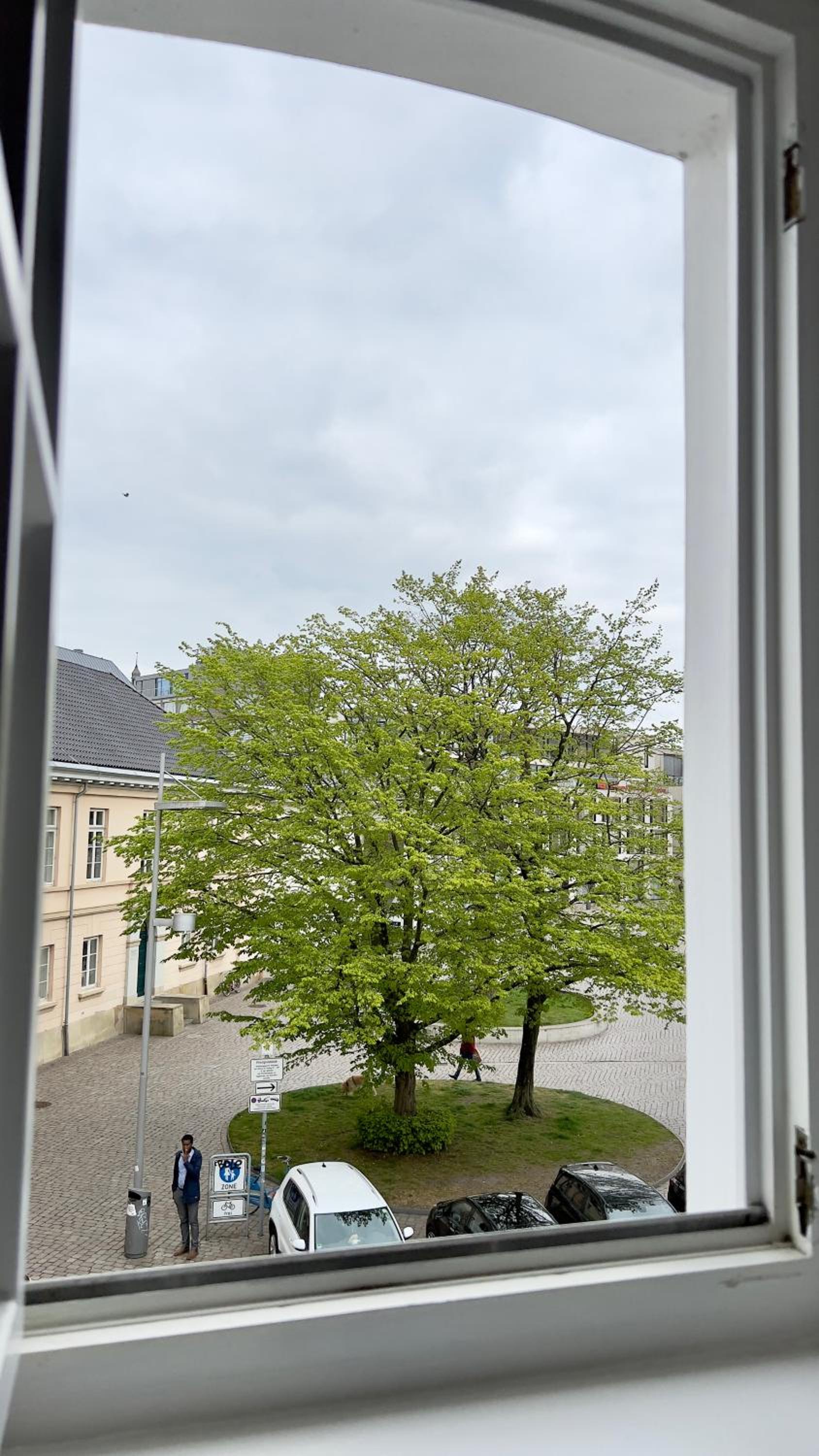 Photo 43