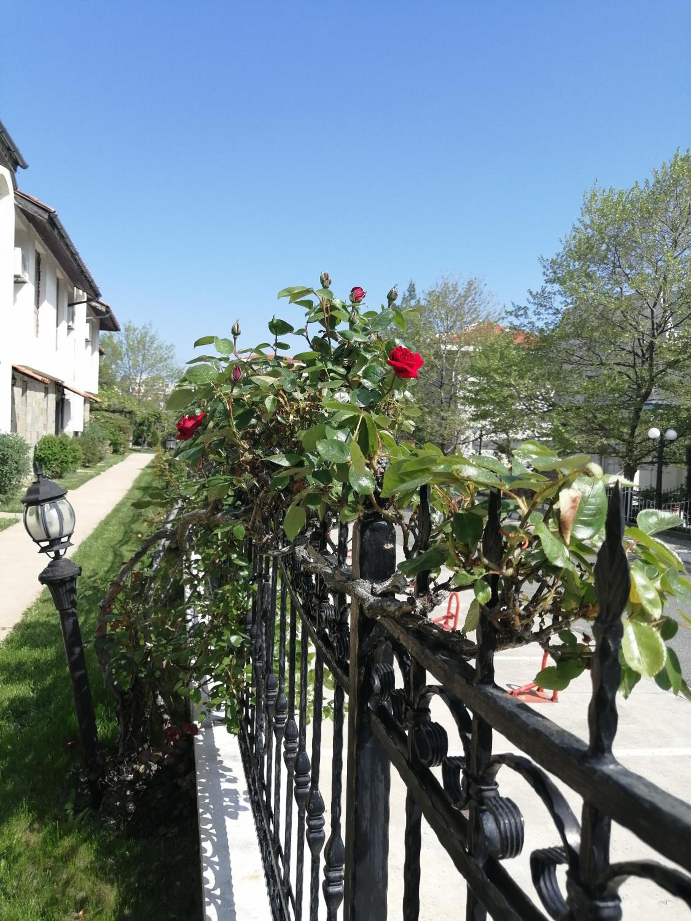 Photo 26