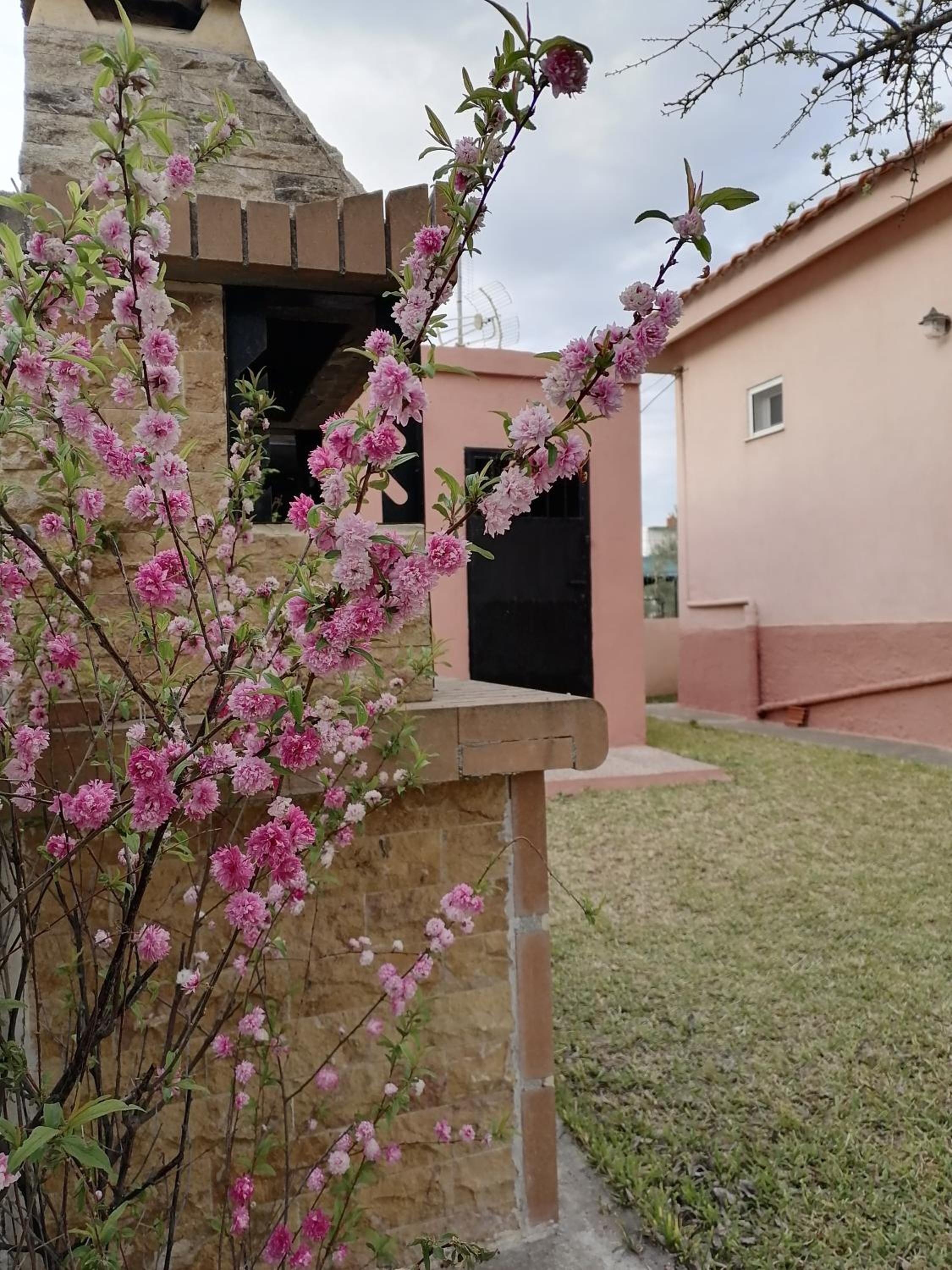 Photo 29