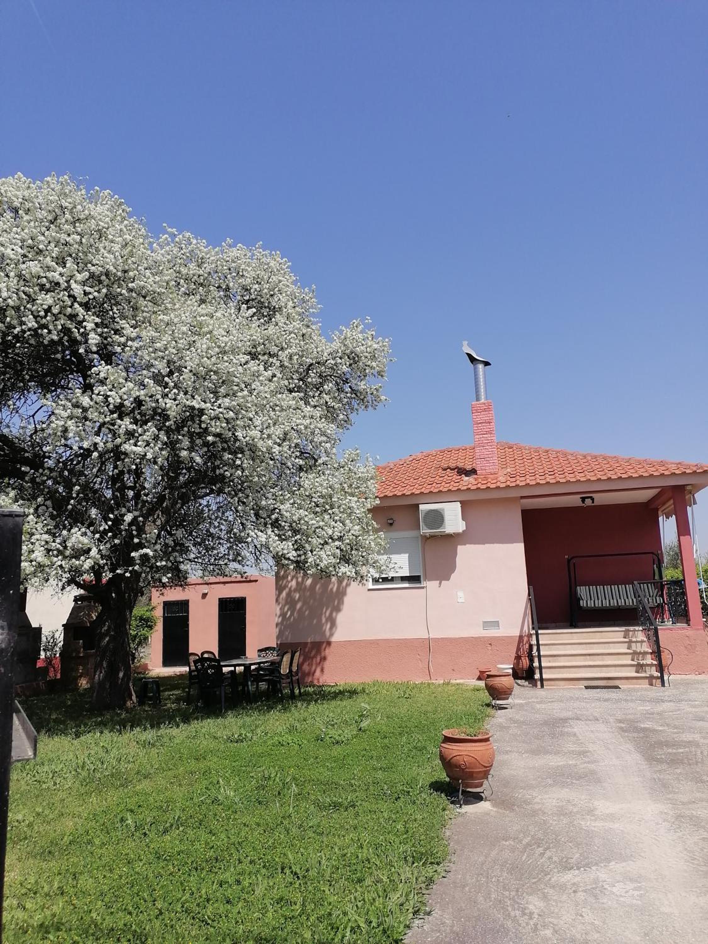 Photo 27