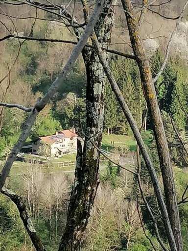 Il paradiso delle beccacce view 4