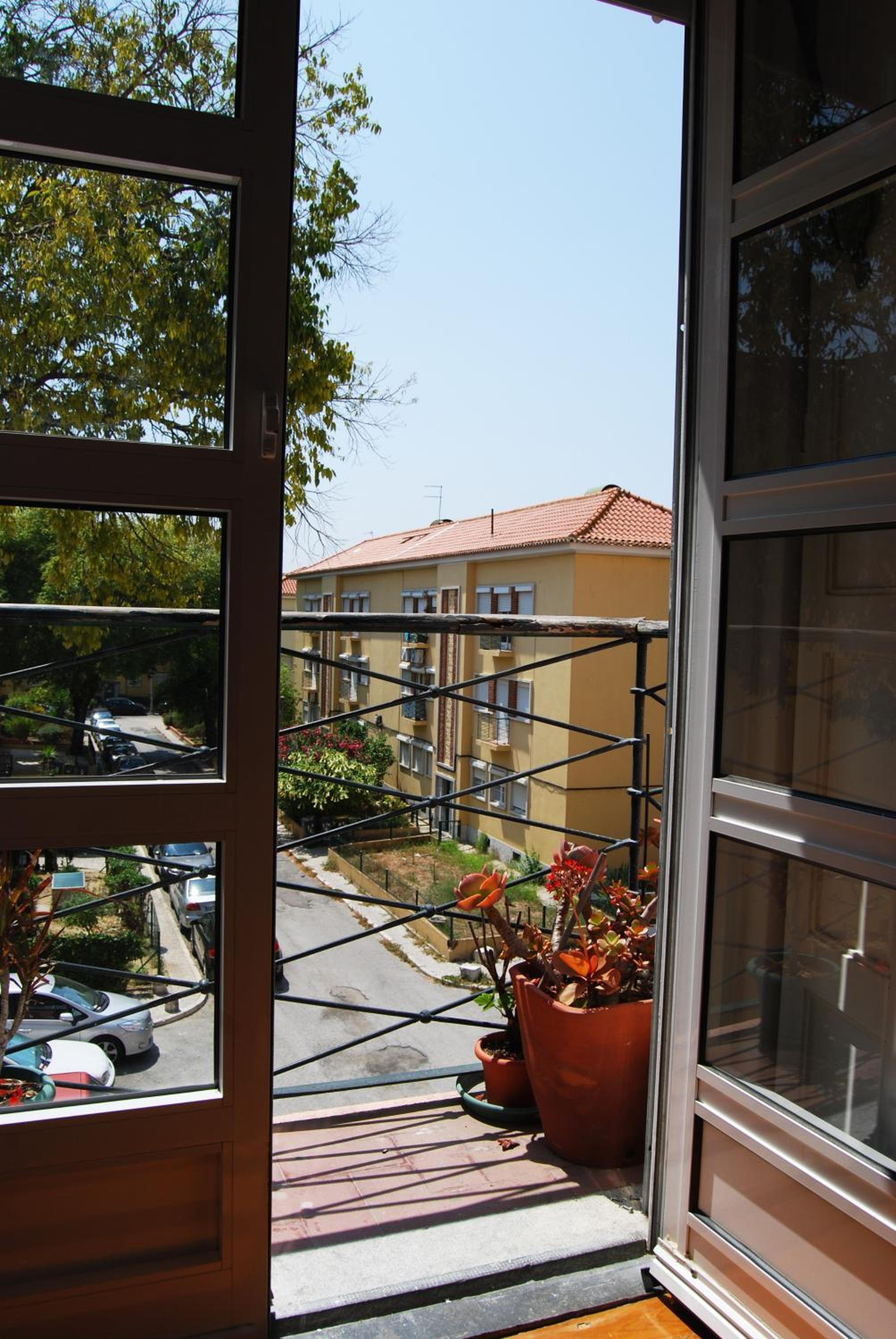 Photo 24