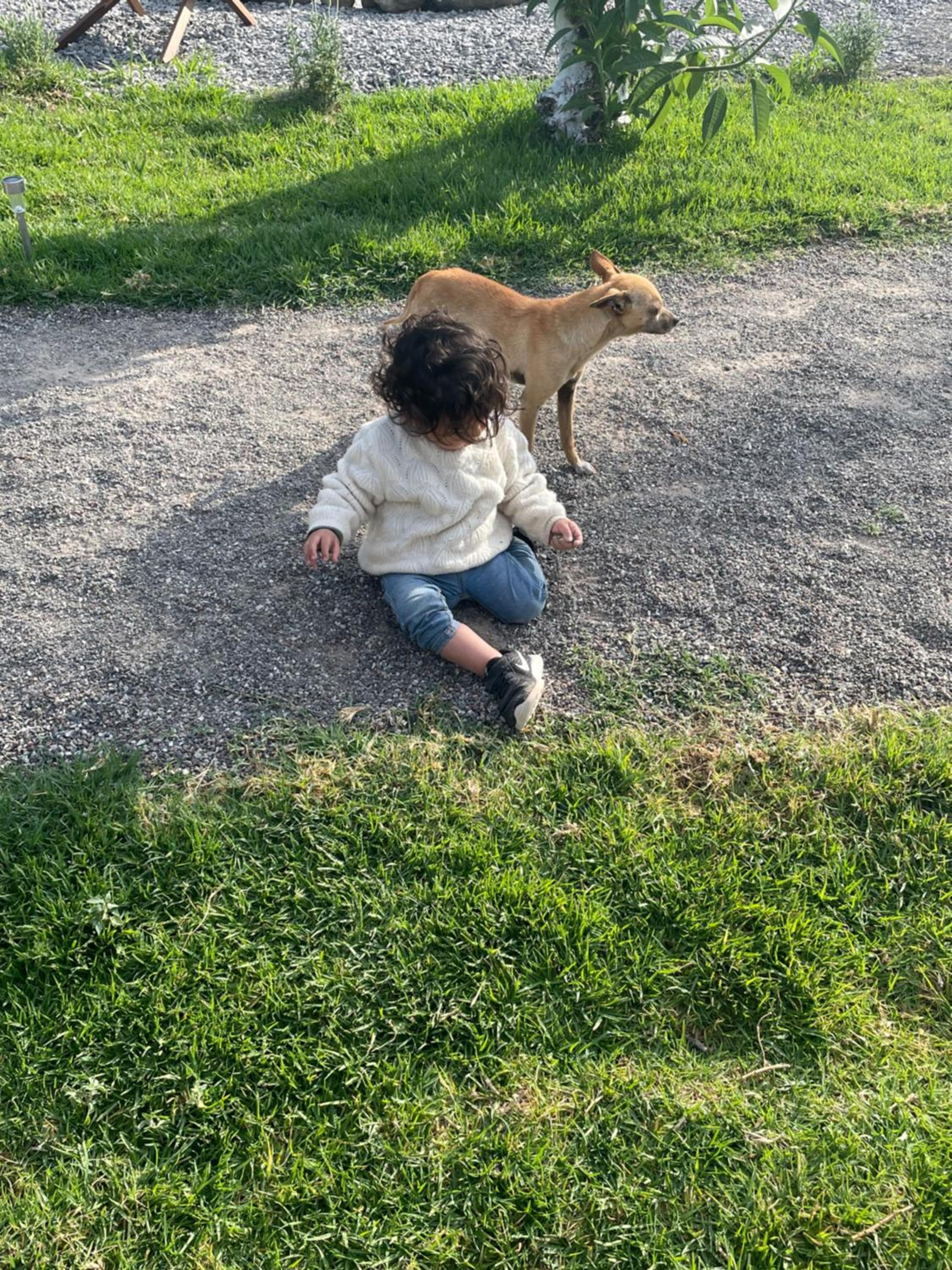 human