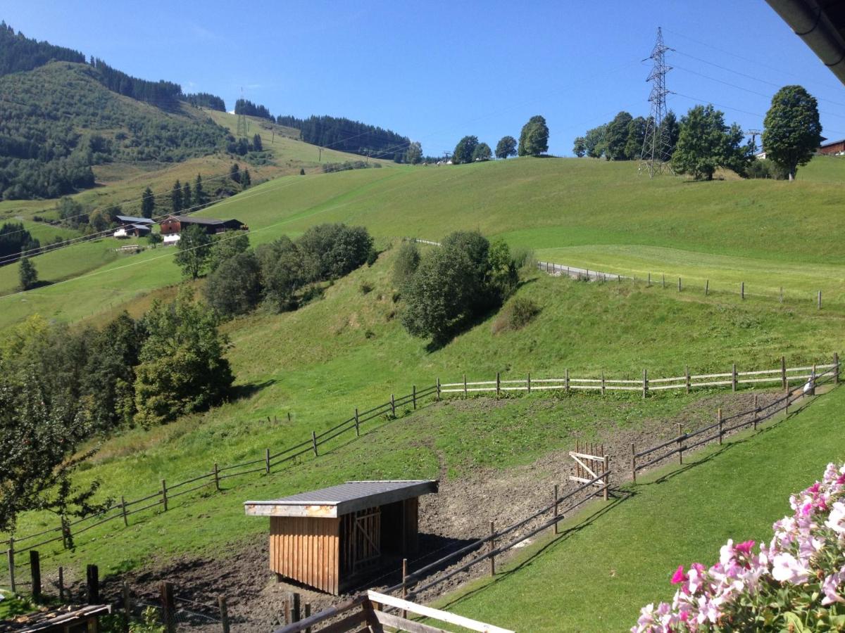 Weisssteinalm
