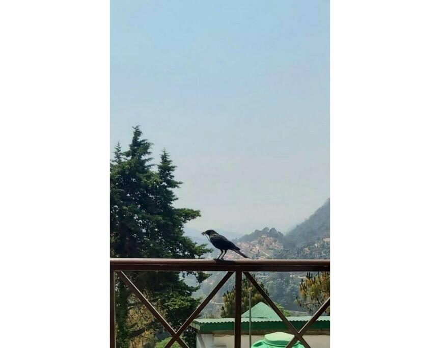 Whistling Thrush Cottage, Bhimtal (2bhk) view 5