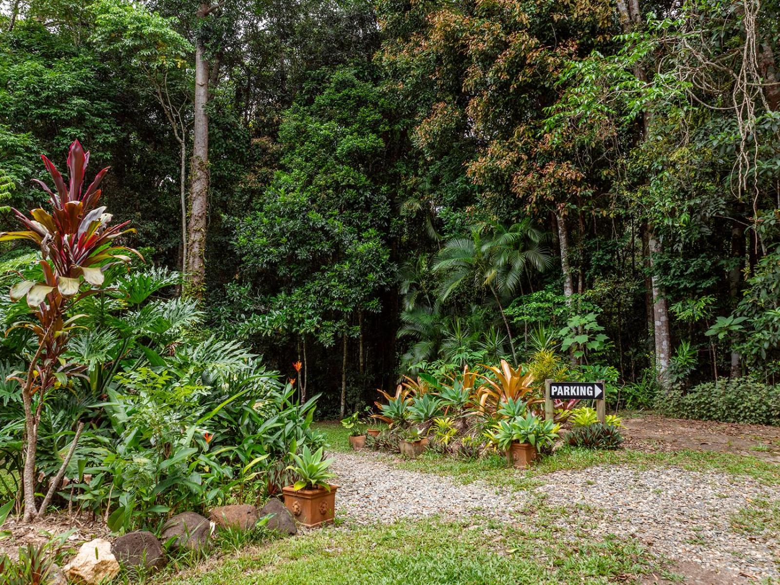 Honeybee House Cottage in the Rainforest