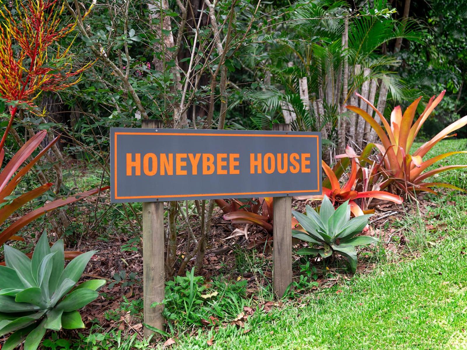 Honeybee House Cottage in the Rainforest