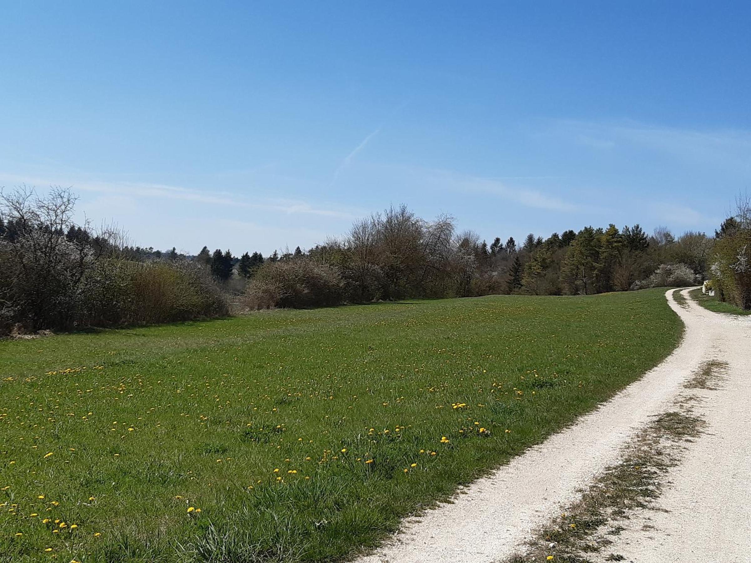 Städtle-Blick view 4