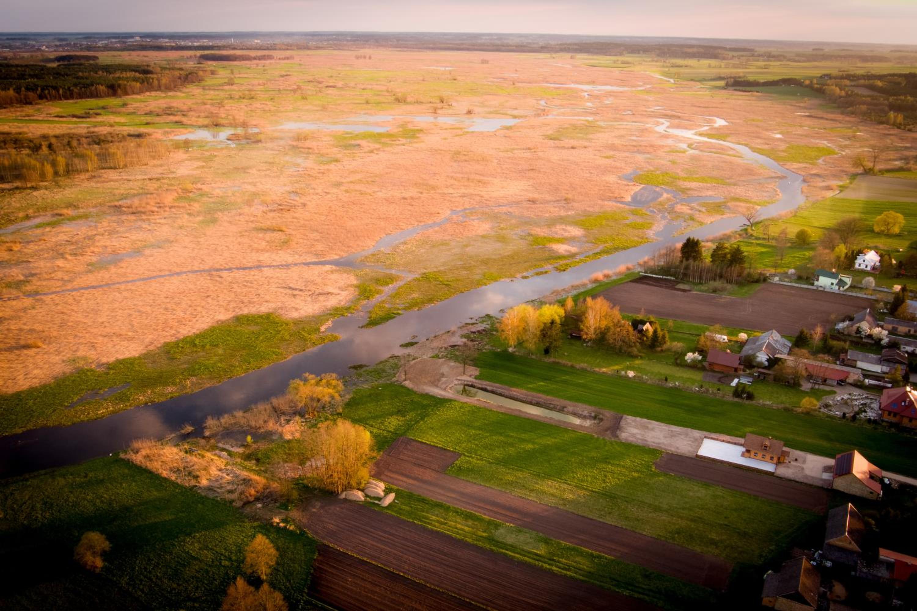Sosnowy domek w rezerwacie nad Narwią view 3