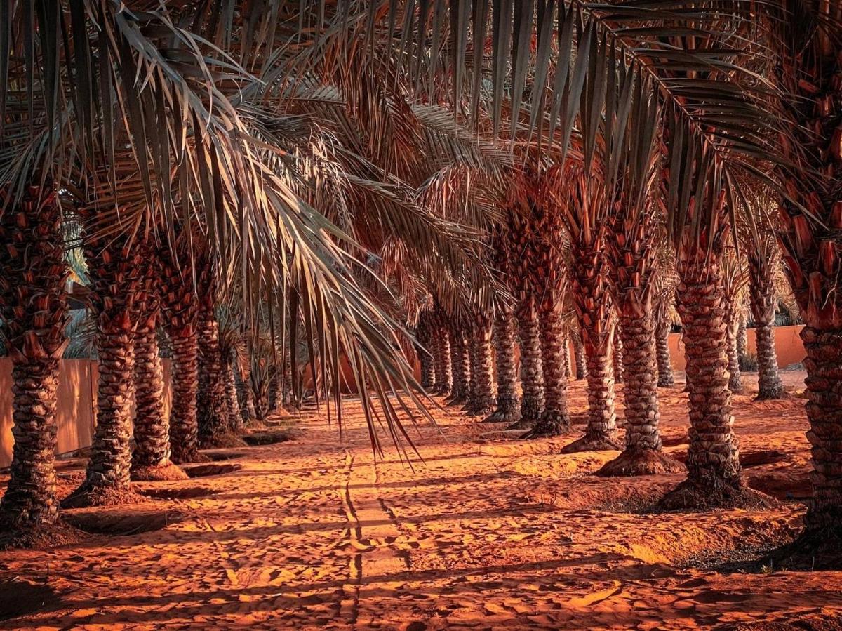 Palm Escape Farmhouse - By Seven Elements