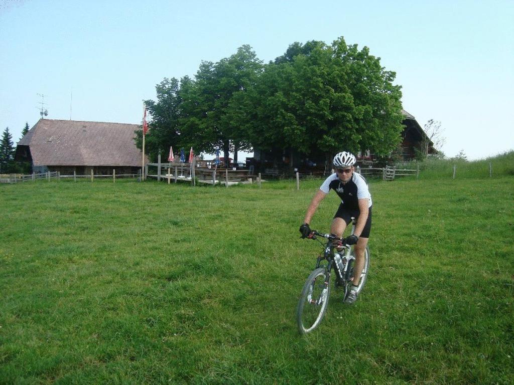 Photo 41