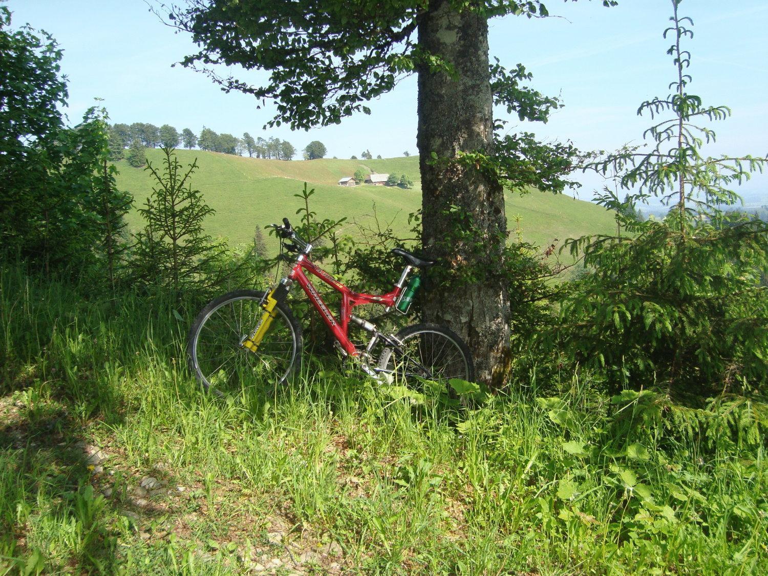 Photo 46