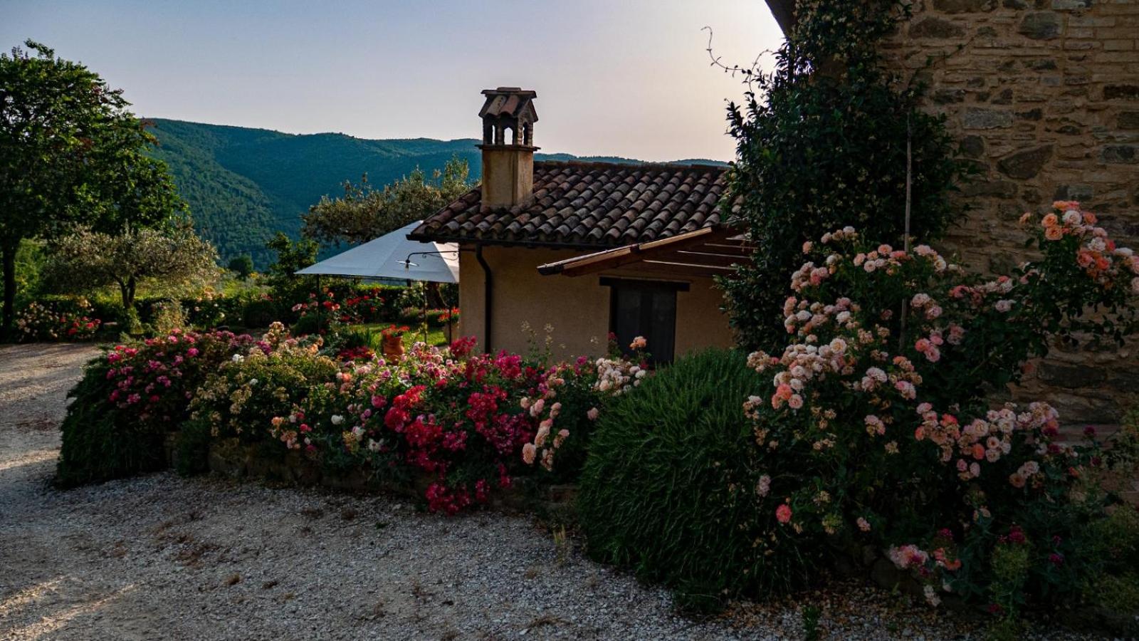 Il Casale di Fiore view 5