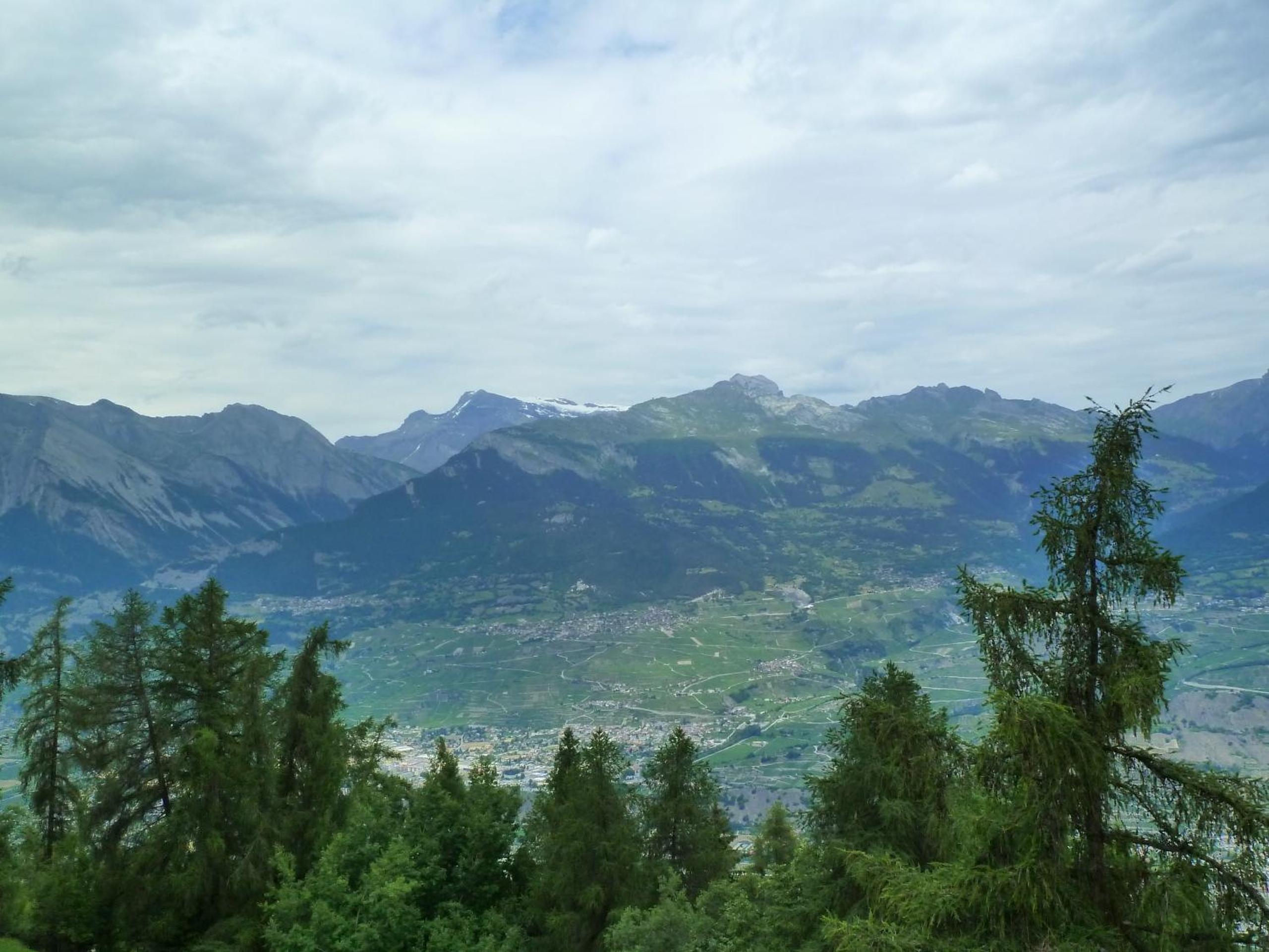 Photo 50