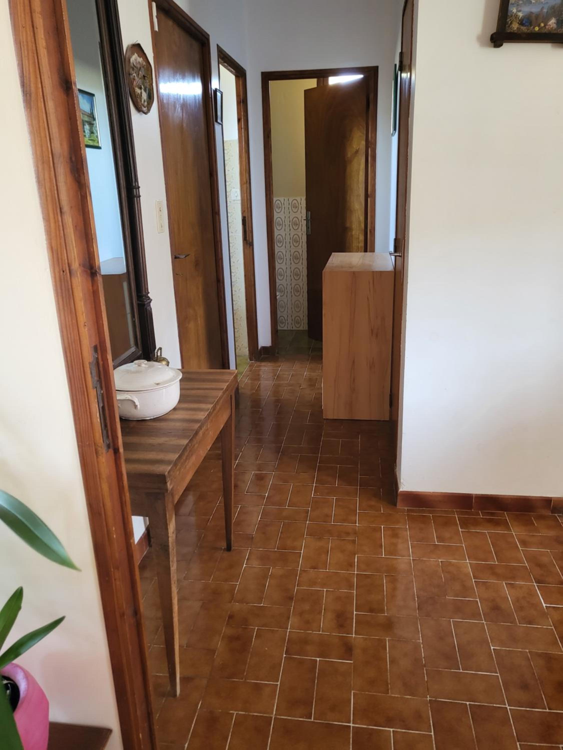 maison gros pata view 4