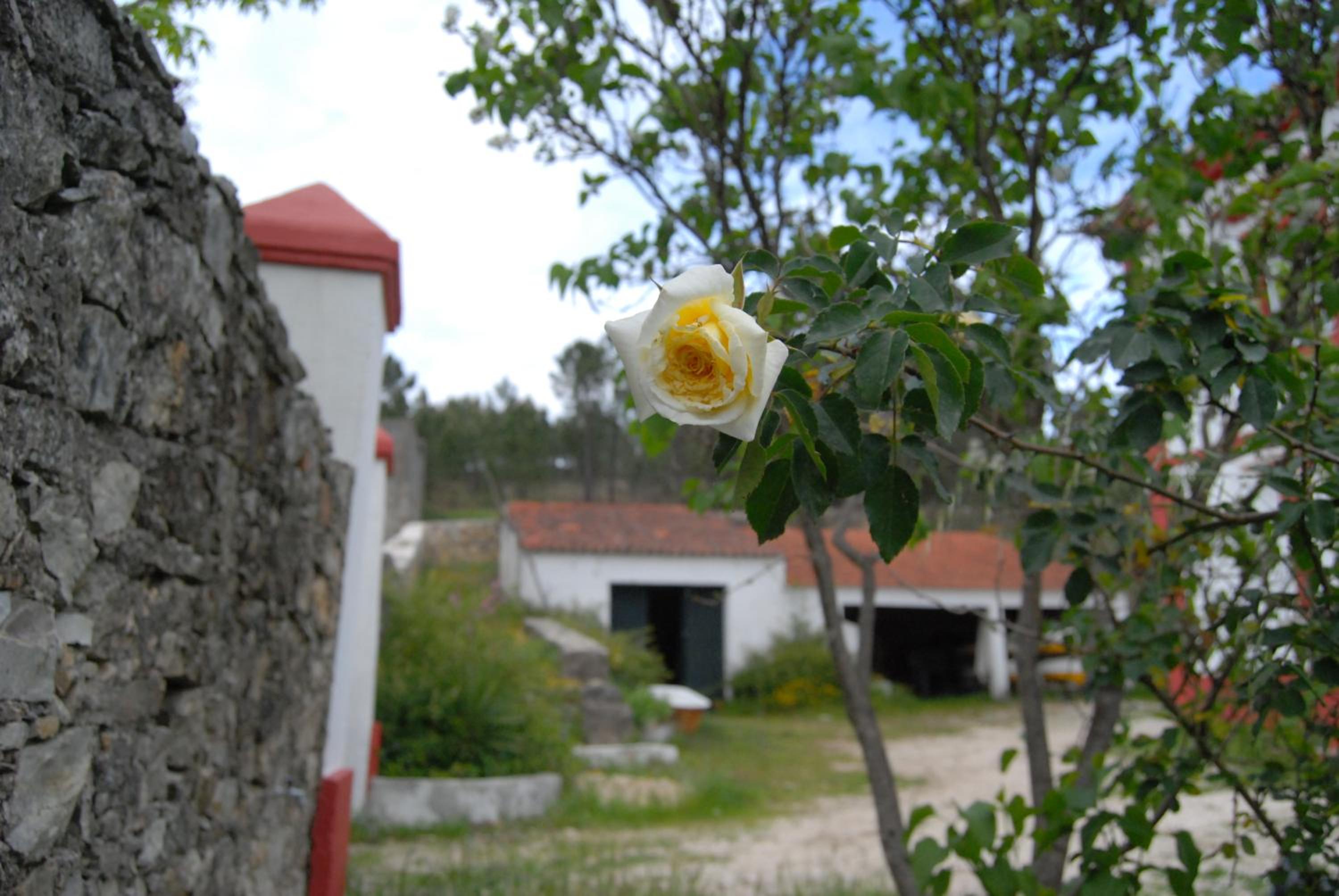 Photo 31