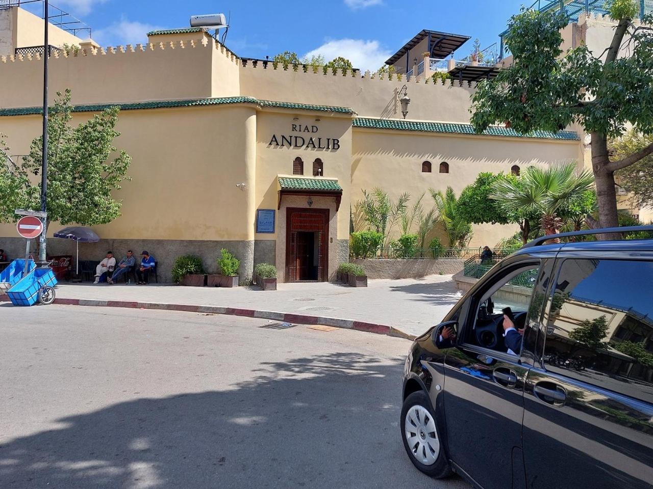 Riad Andalib - Image 2