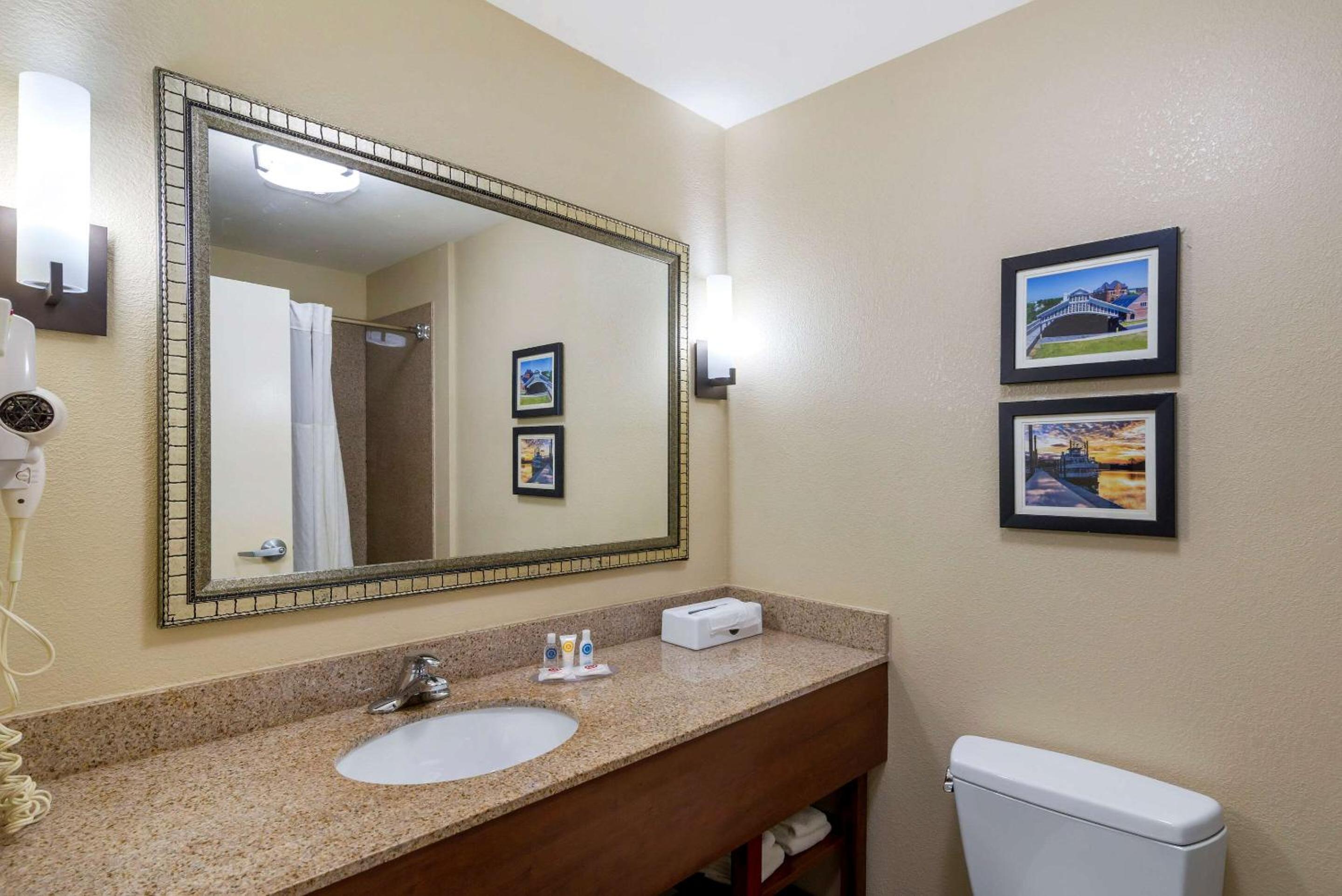 Montgomery Vacations - Comfort Inn  Suites Montgomery Eastchase - Property Image 11