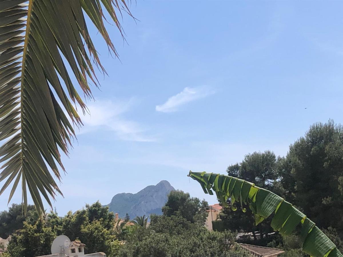 Casa sobre el Mar, a beautiful Oasis 1000m from beach photo 5
