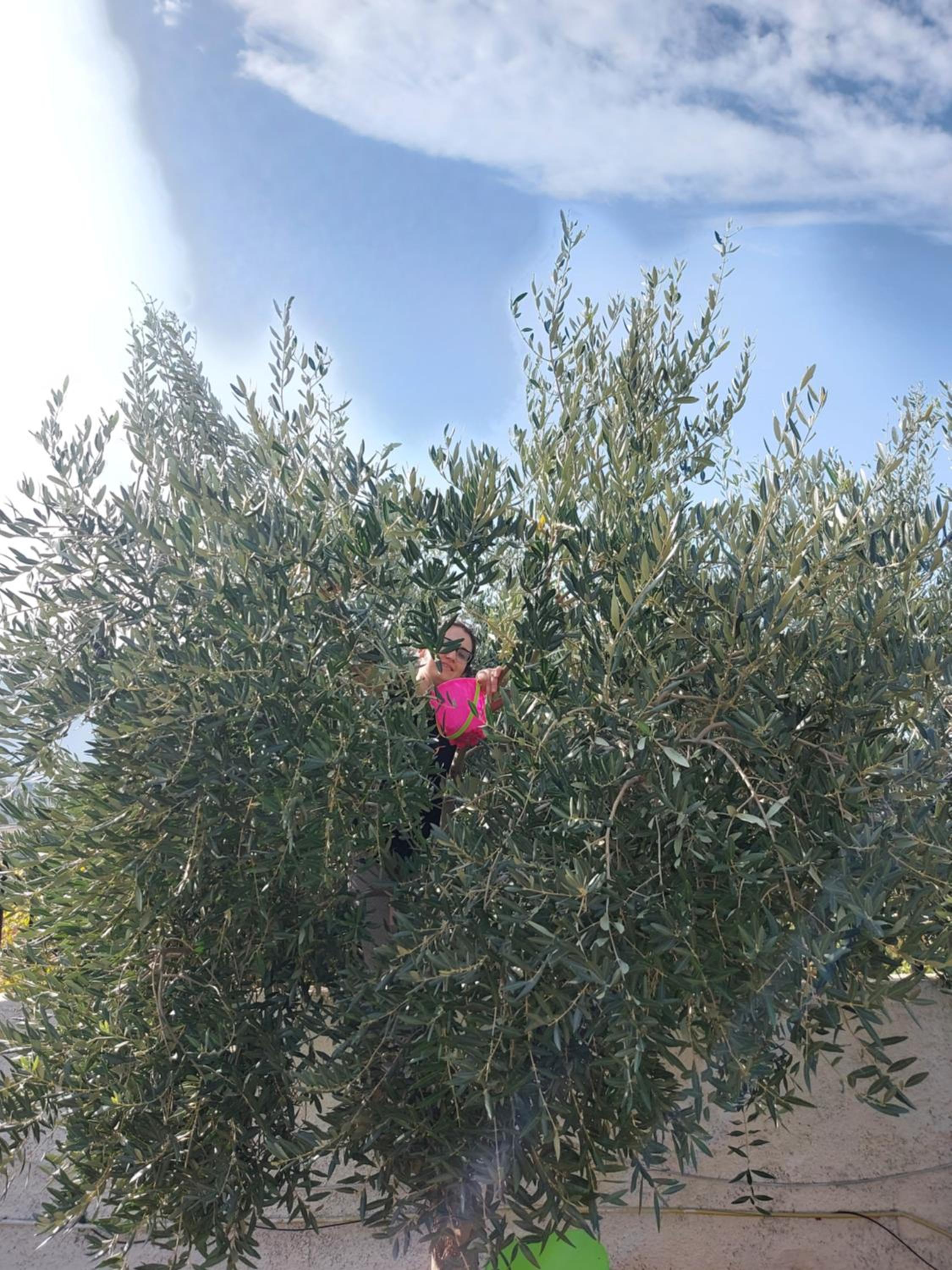 Vlore Casa Vacanze