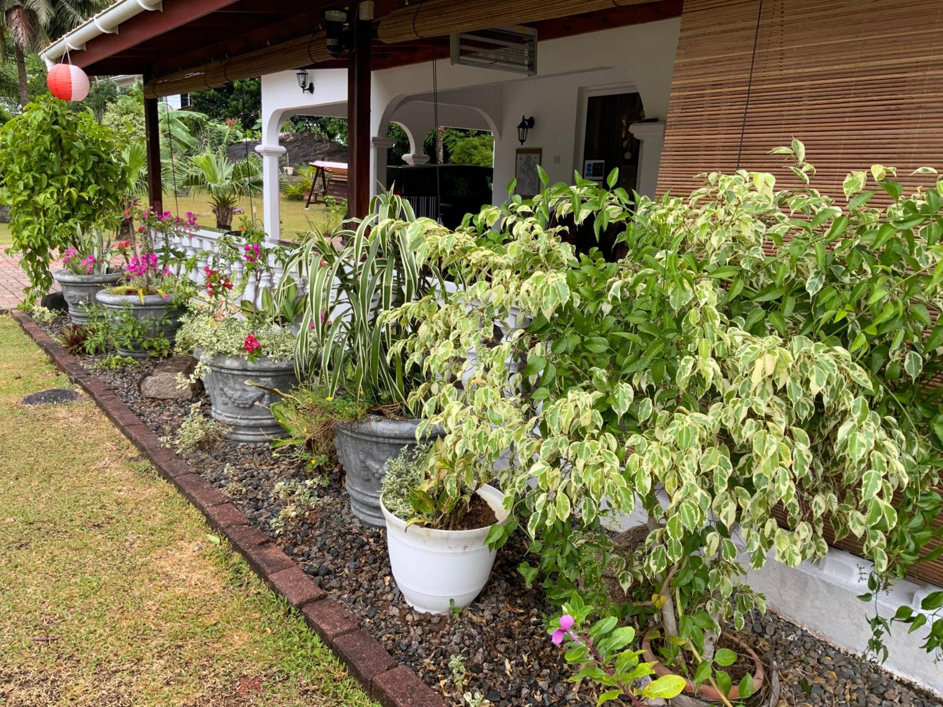 The Orchard Holiday Home