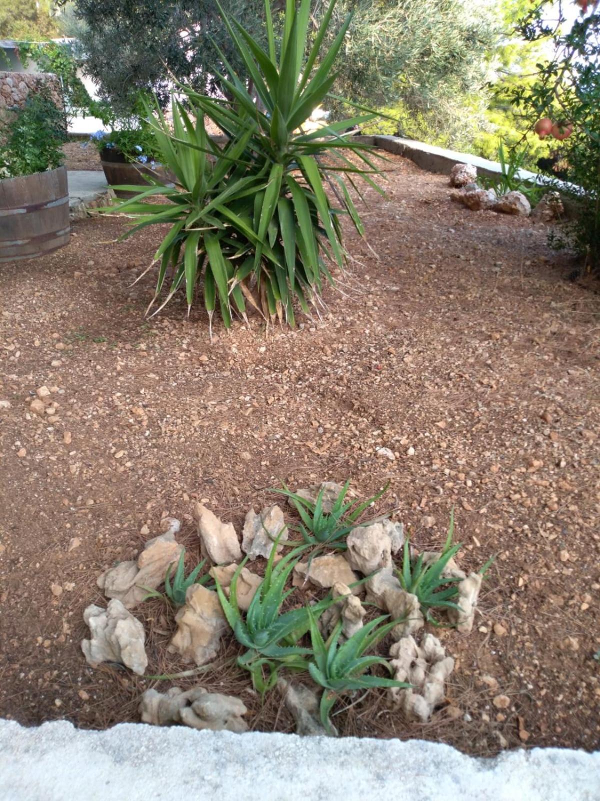 Photo 44