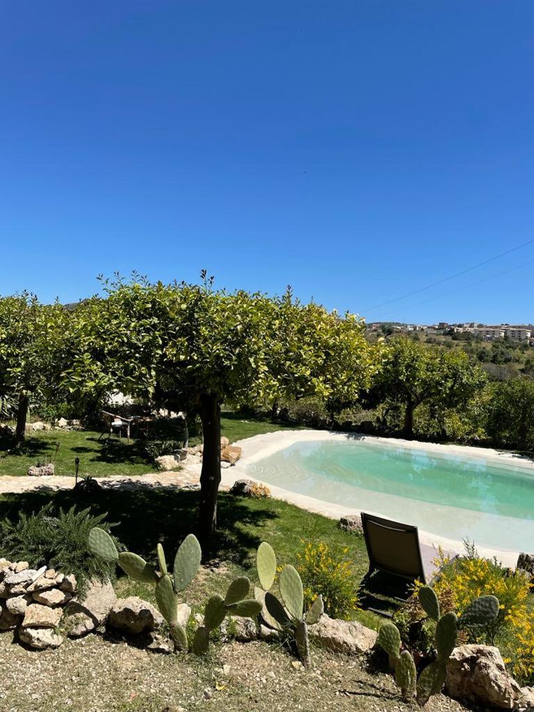 Il Primo Fiore photo 4