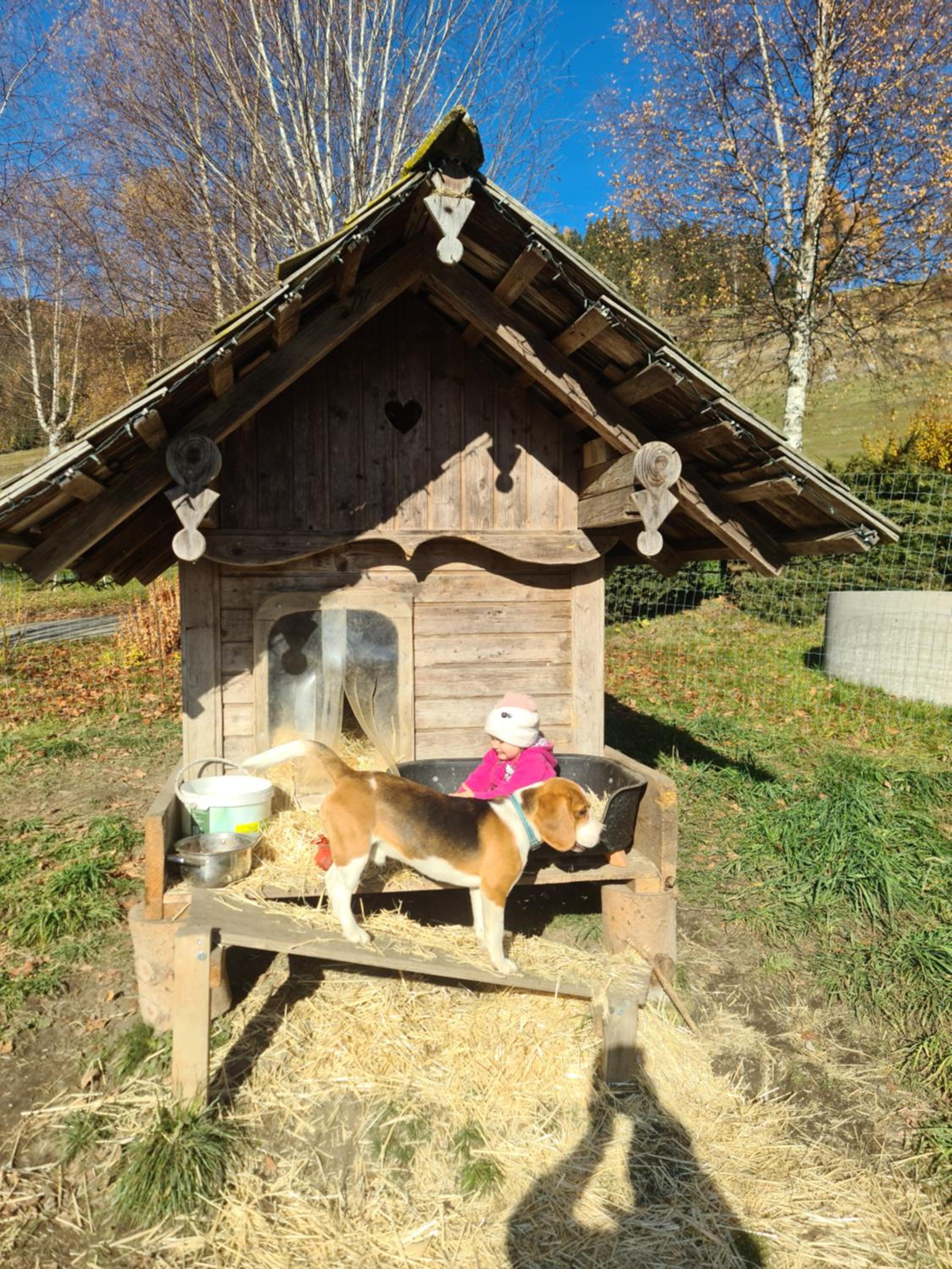 Schöne Ferienwohnung im Naturpark Grebenzen