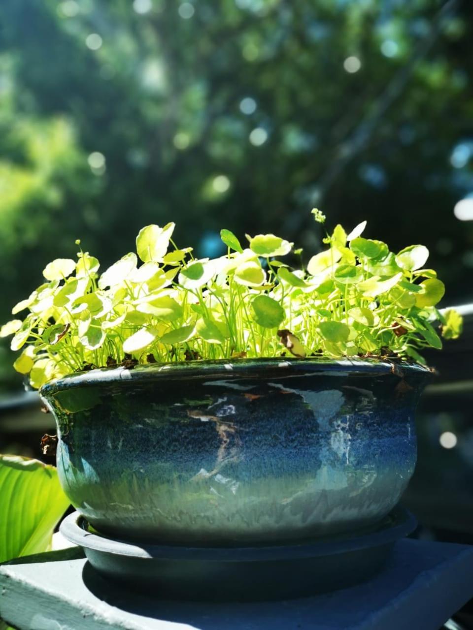Photo 40