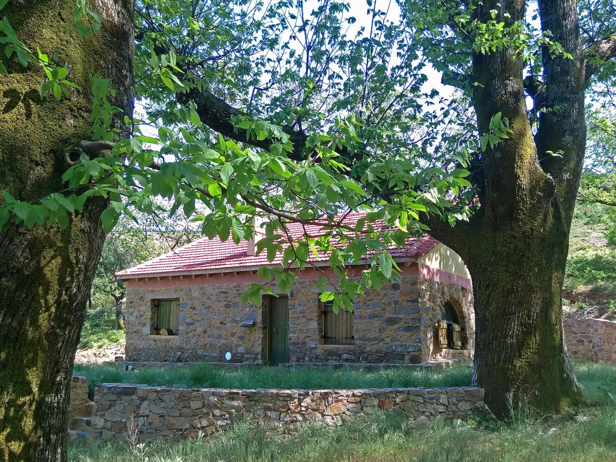 Photo 42