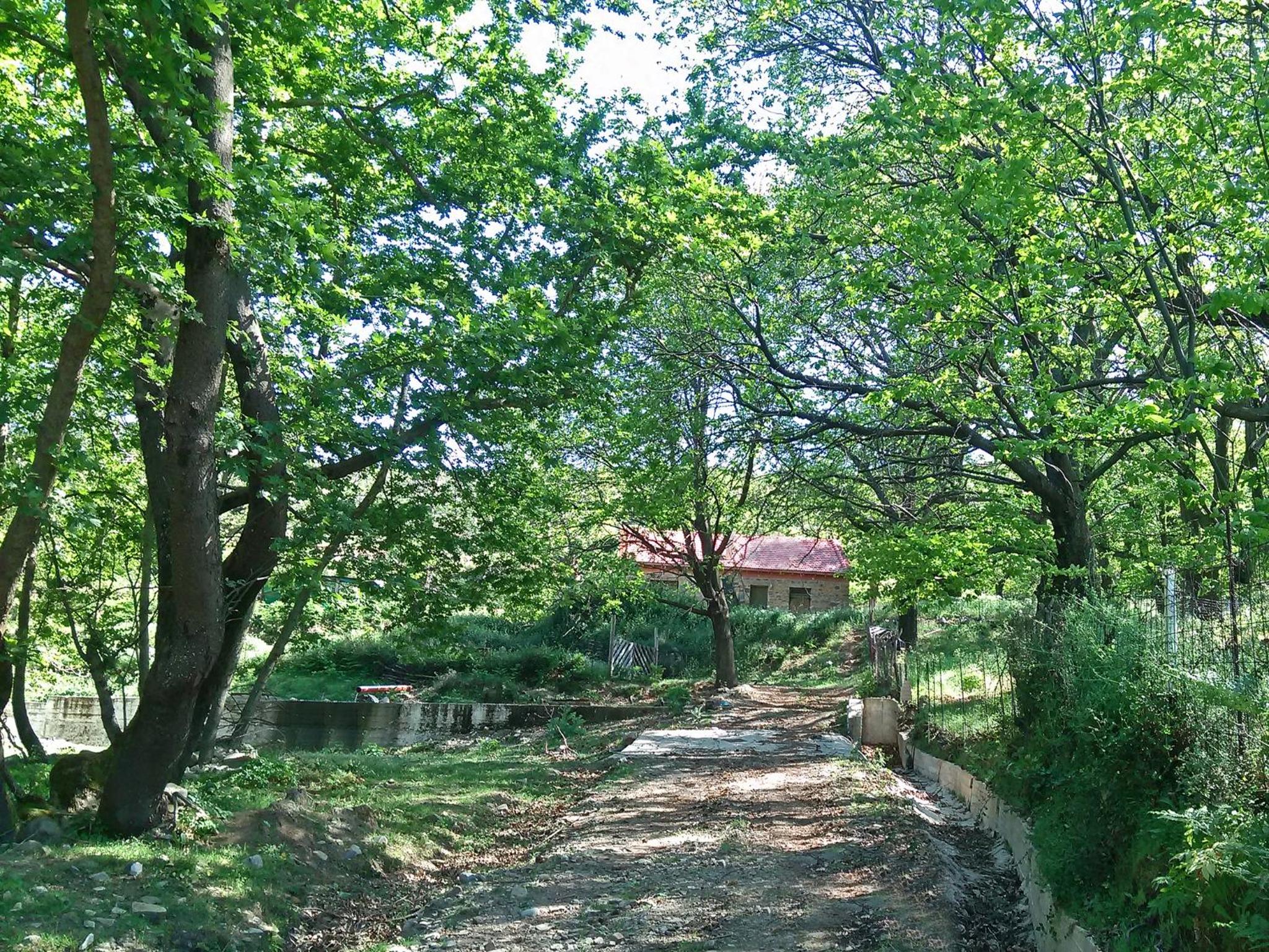 Photo 43
