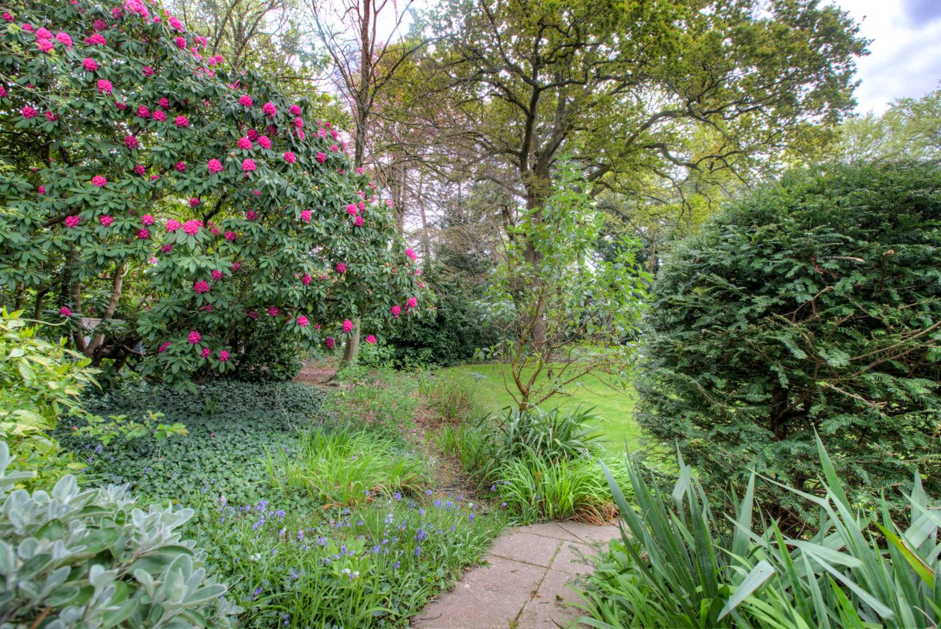 Large 3 Bedroom Apartment with Free Parking near Beach and Meyrick Park Fast WiFi