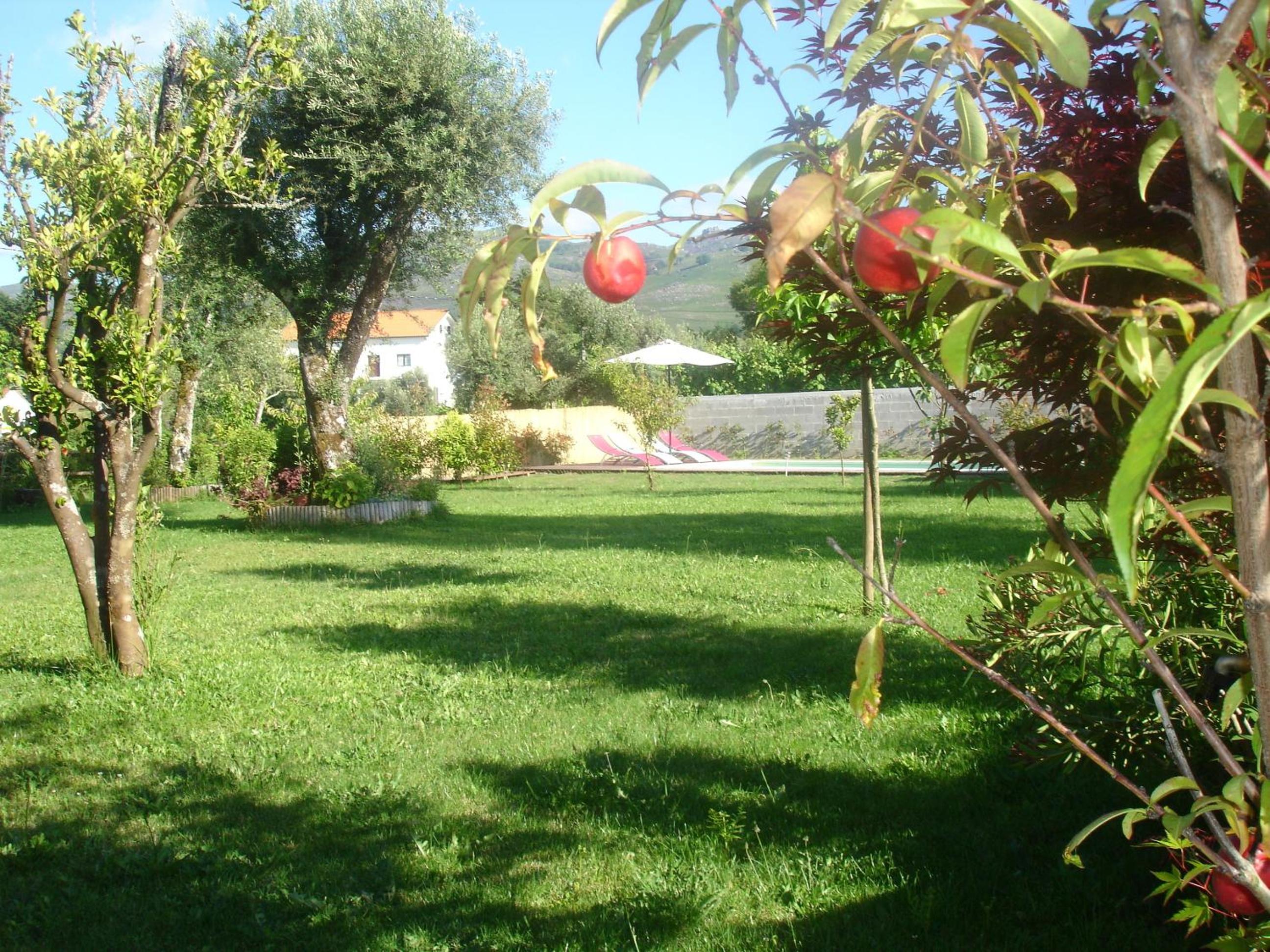 Photo 29